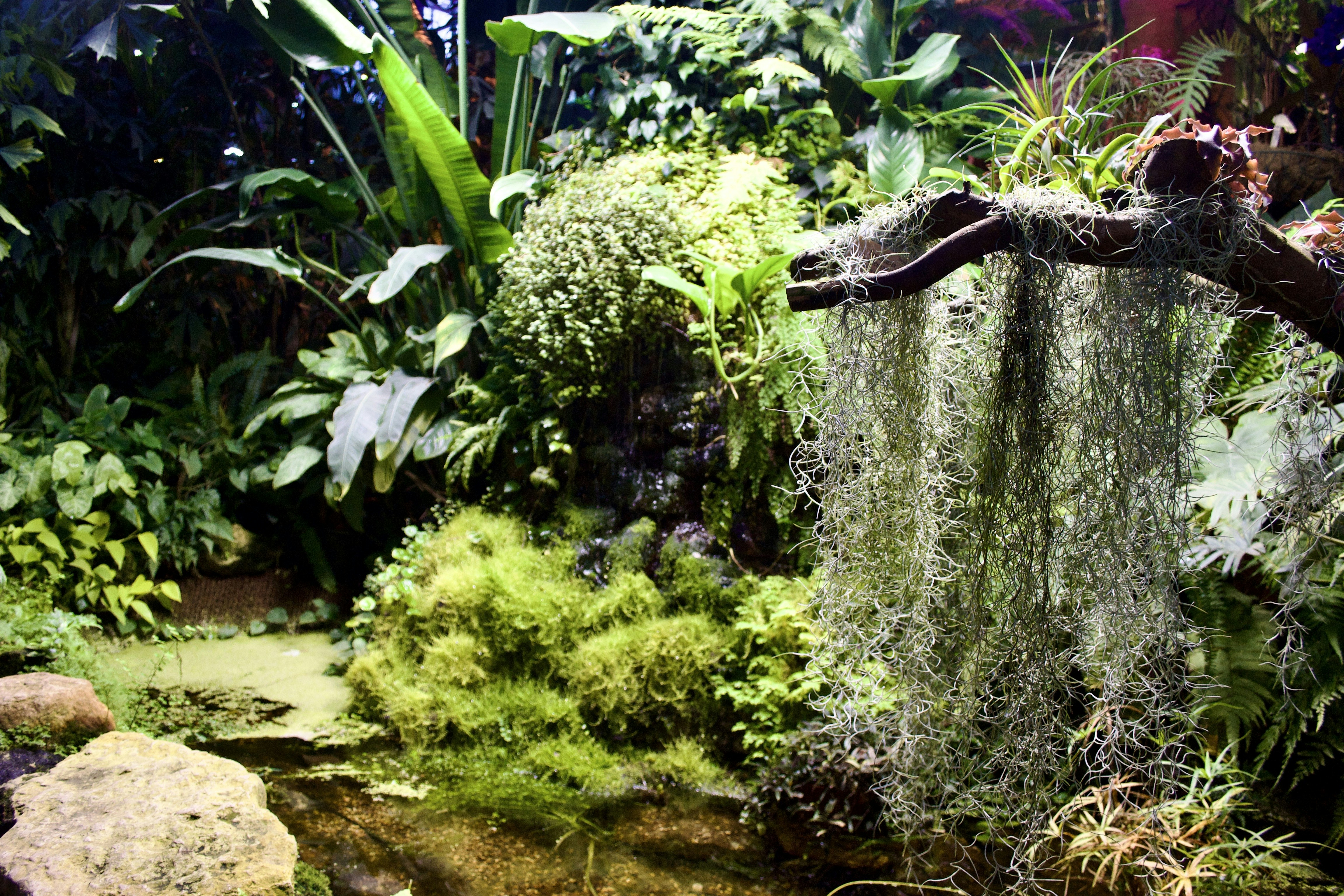 Photo by evgenslavin