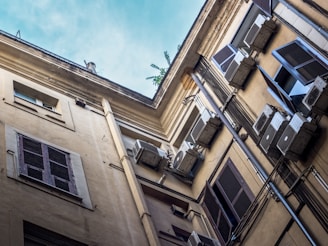 a building with windows and a tree