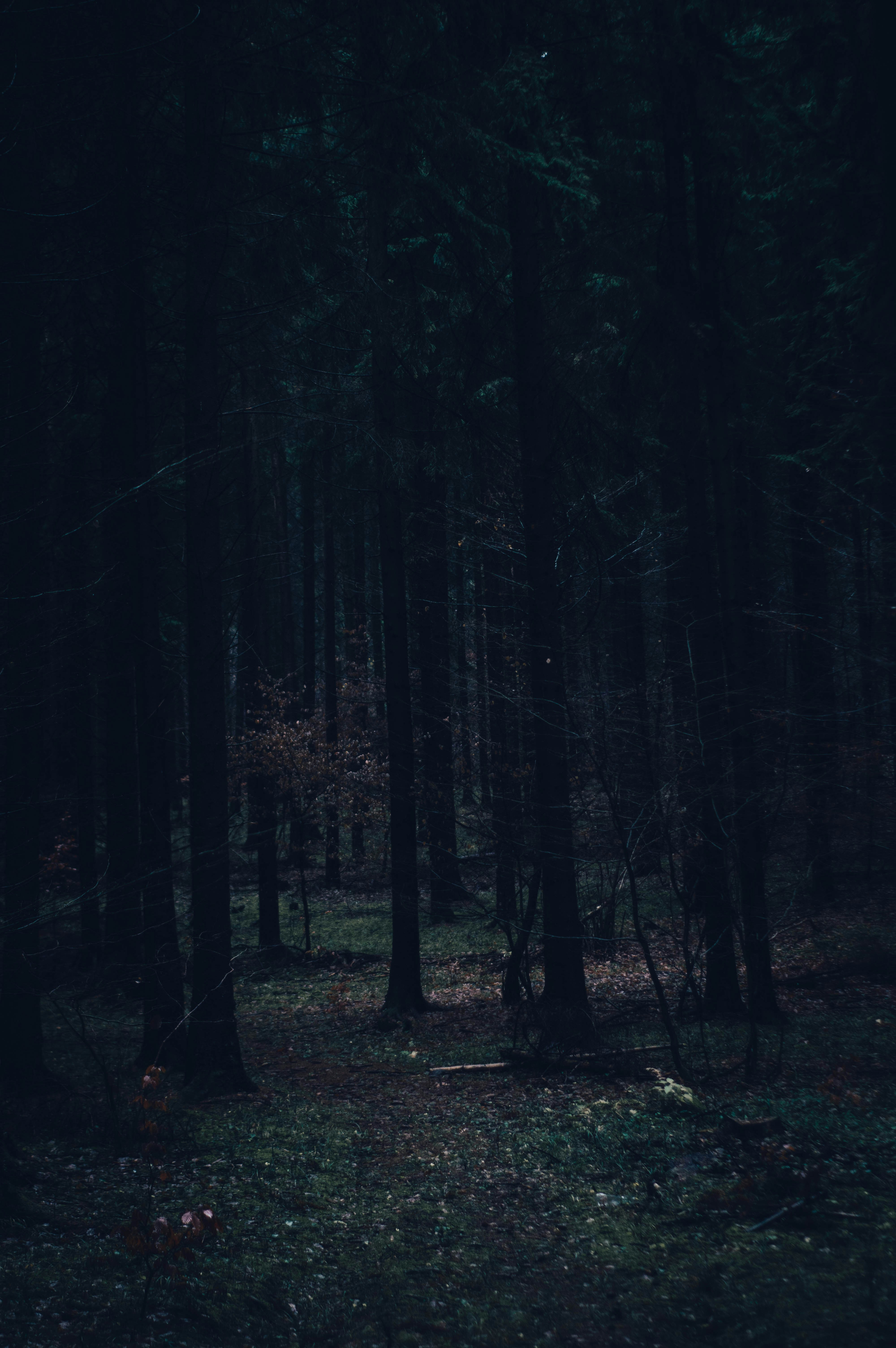 Photo by alex_emanuel20