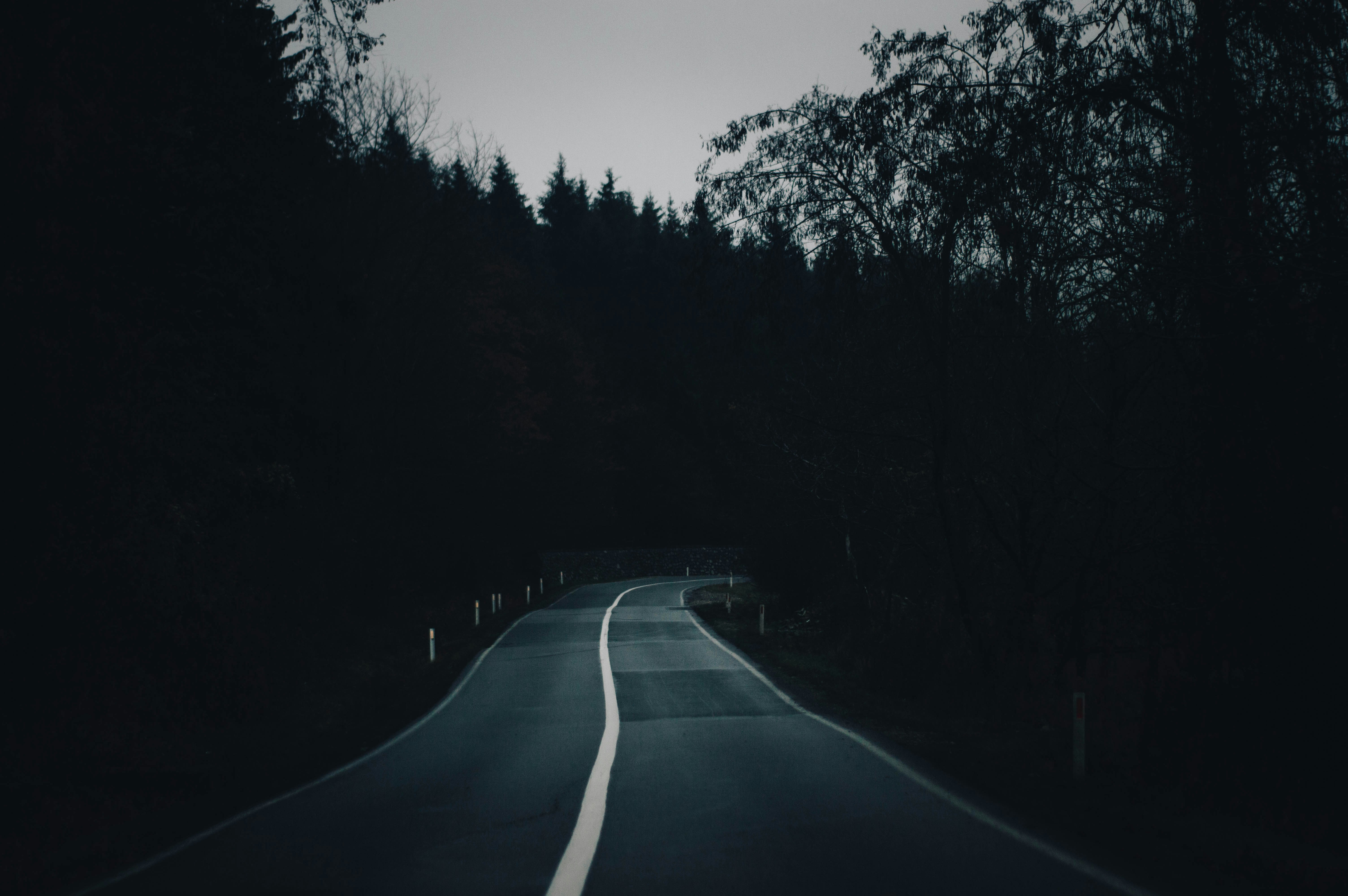 Photo by alex_emanuel20