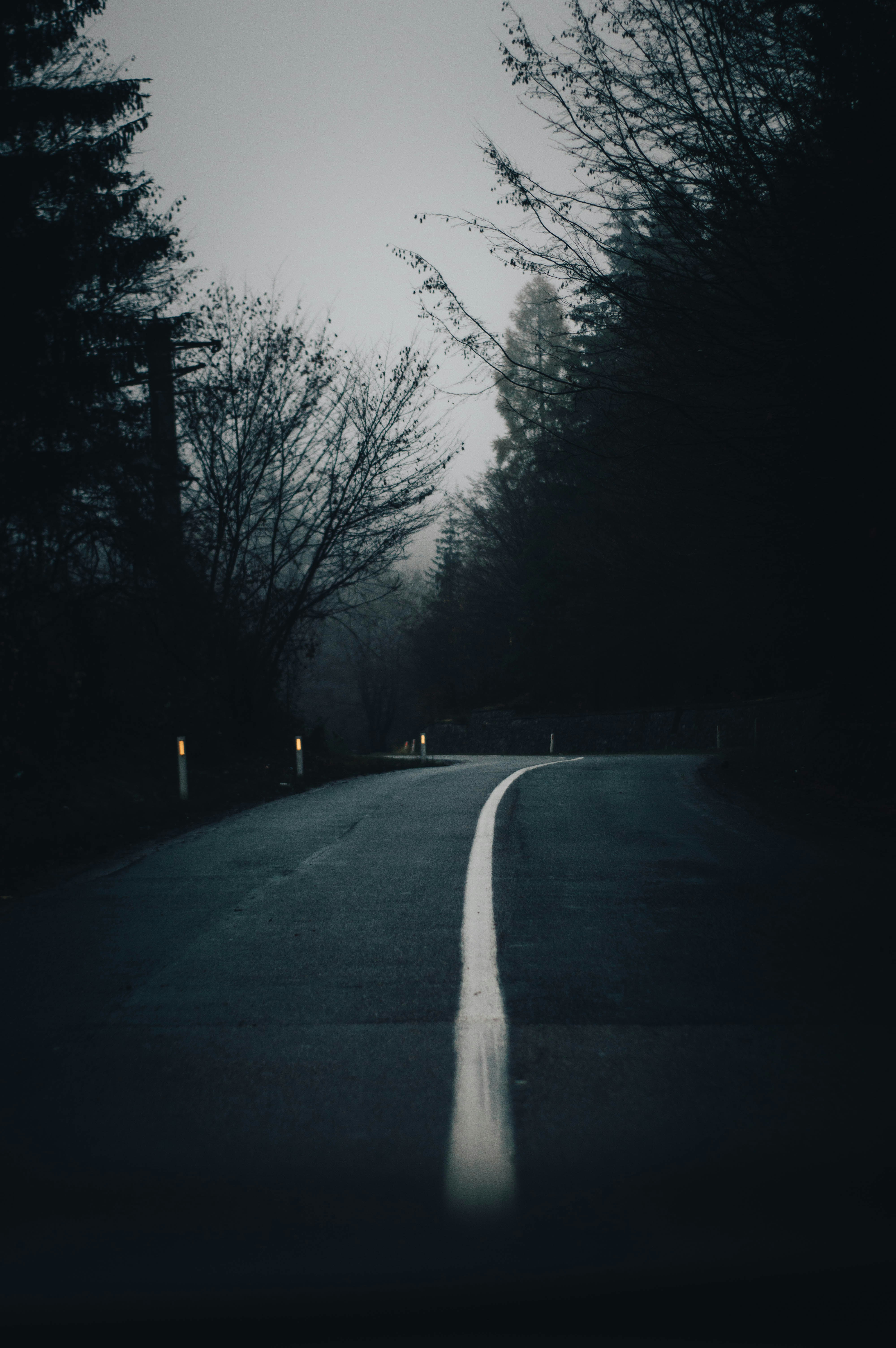 Photo by alex_emanuel20