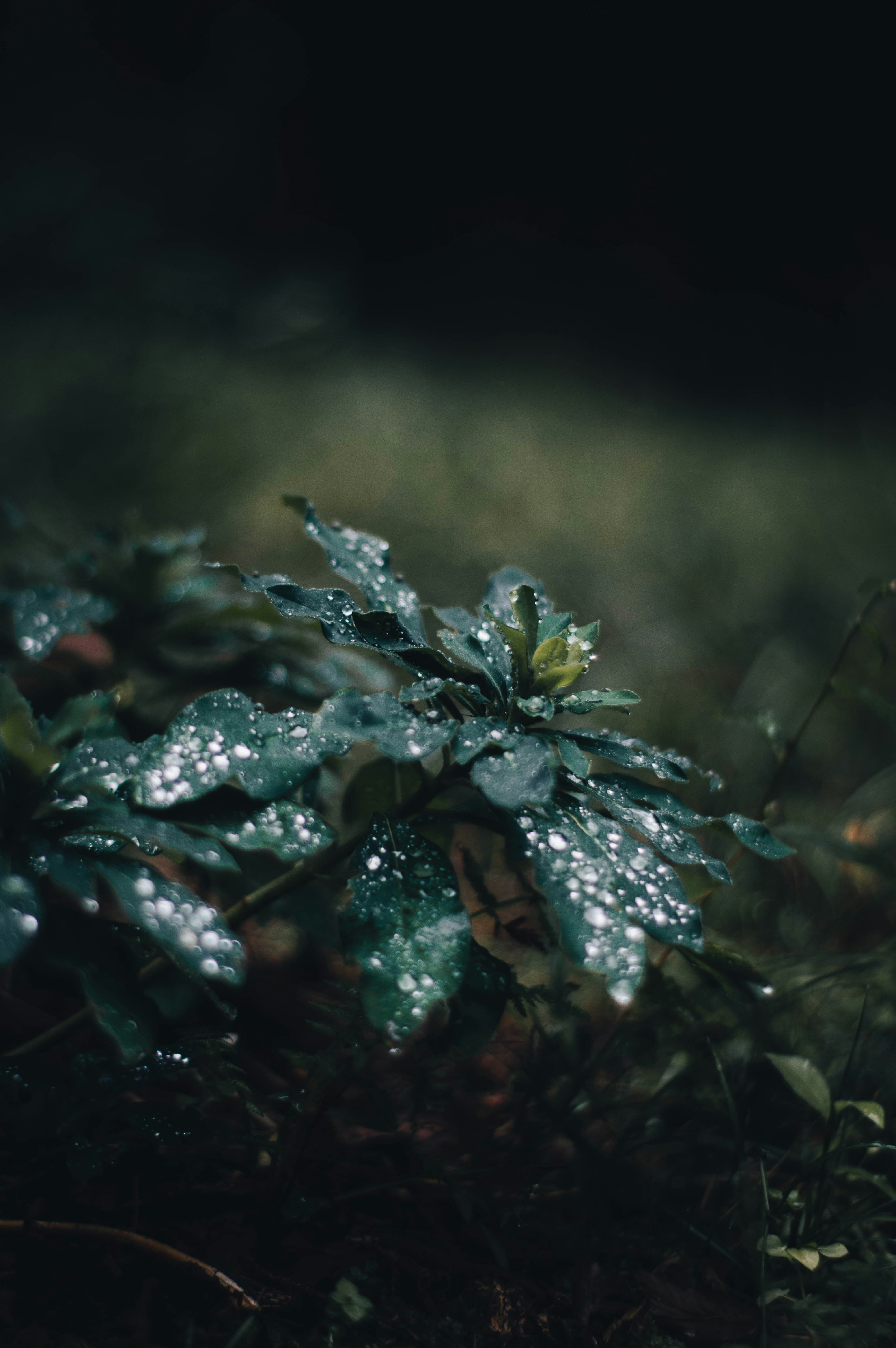 Photo by alex_emanuel20