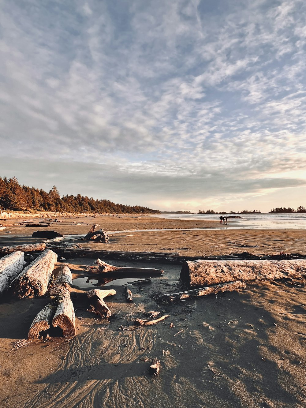 a sandy beach with rocks and trees in the background