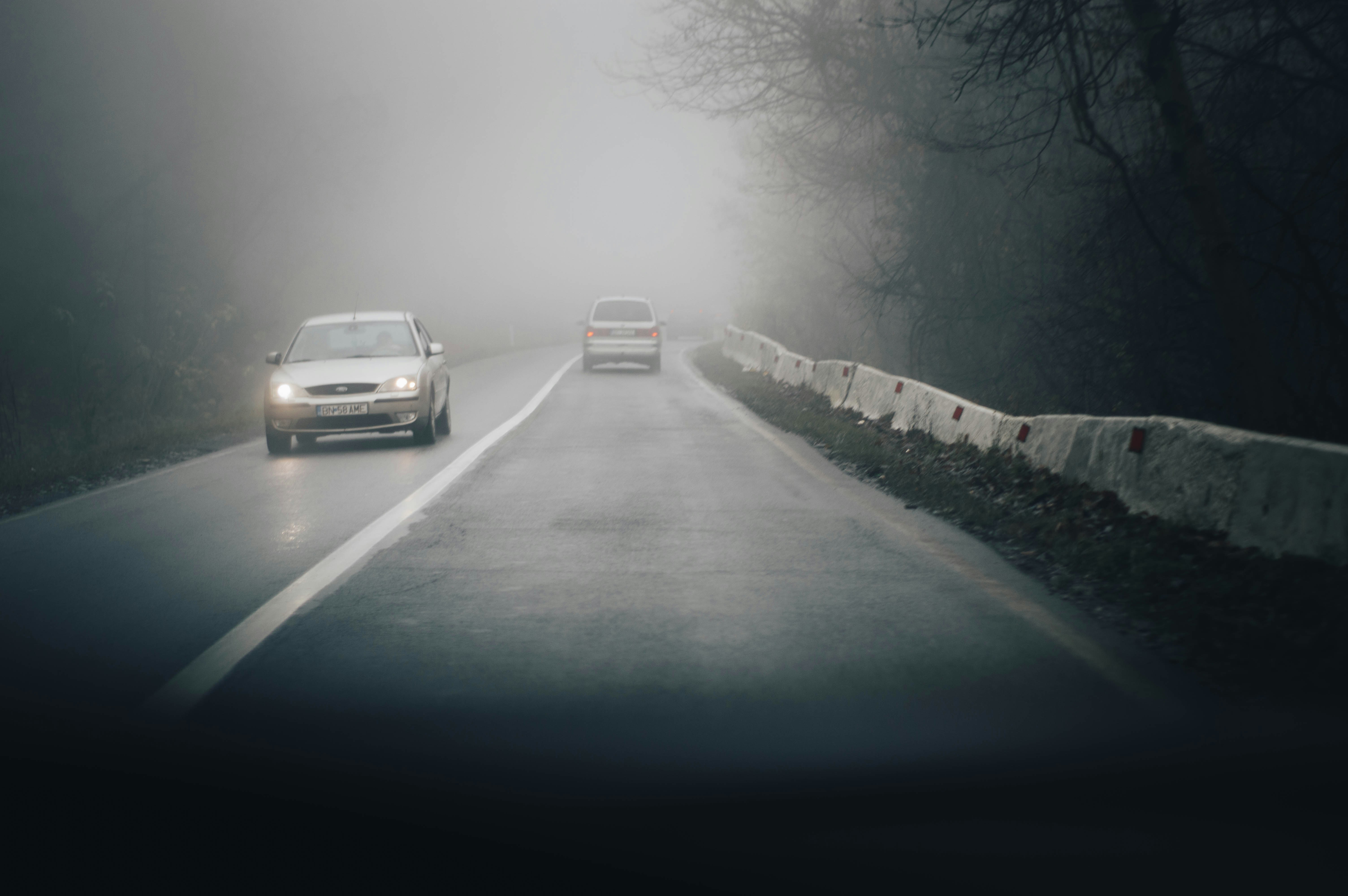 Photo by alex_emanuel20