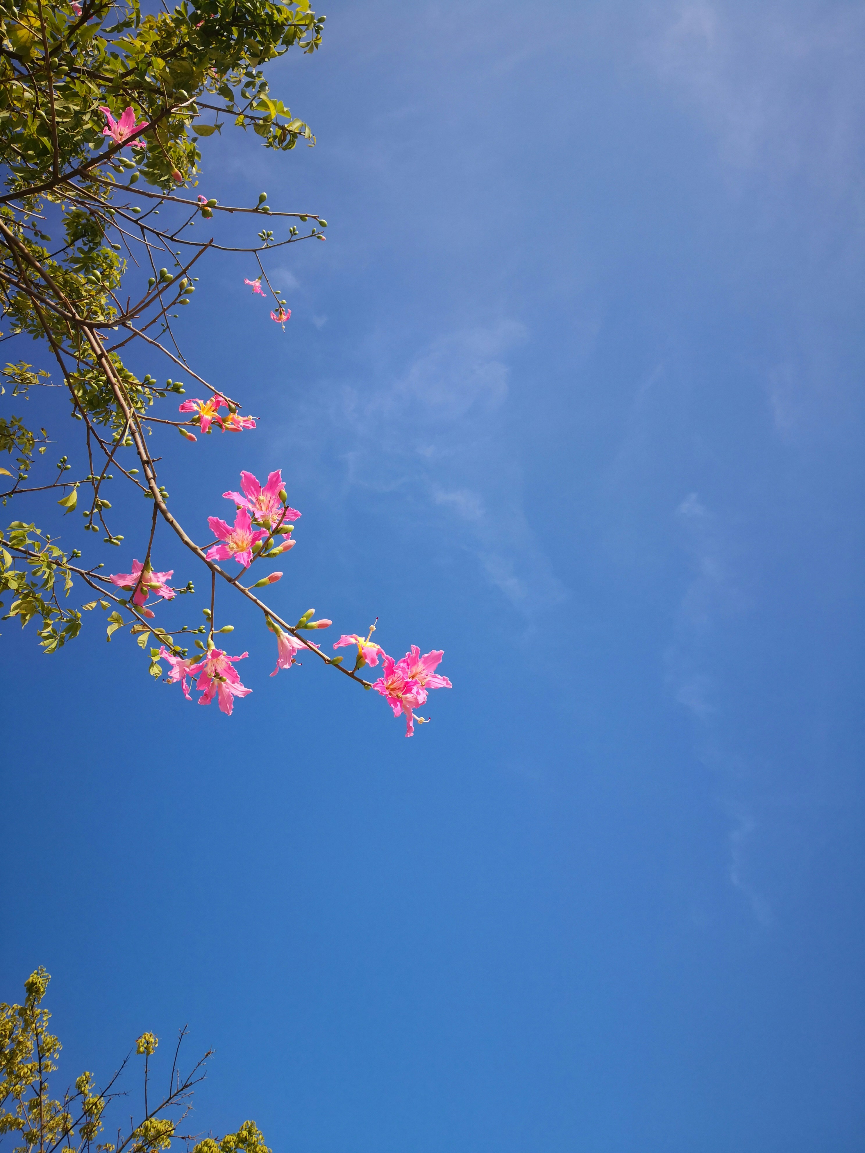 Photo by tonyatloxim