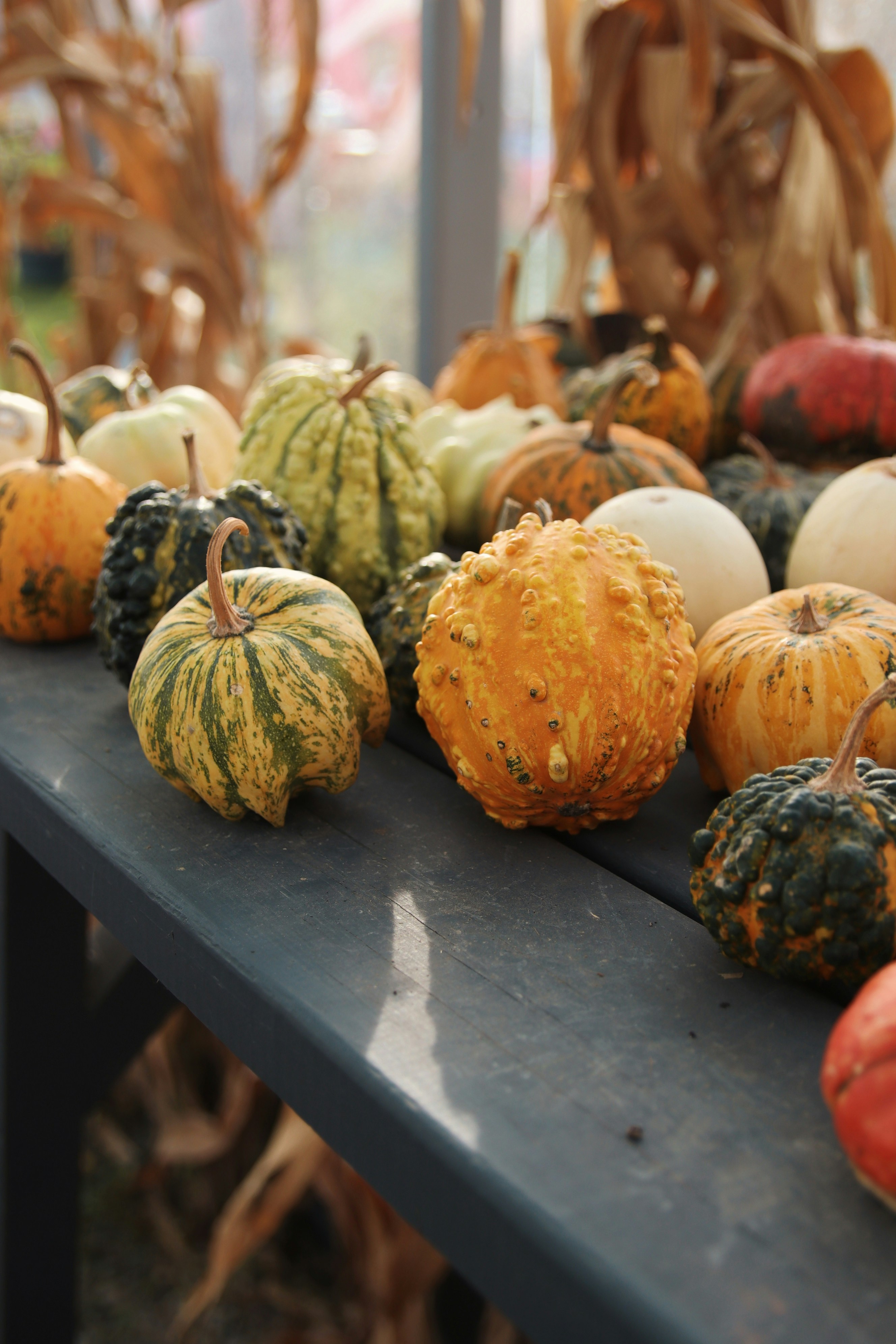 Photo by feeling_hope