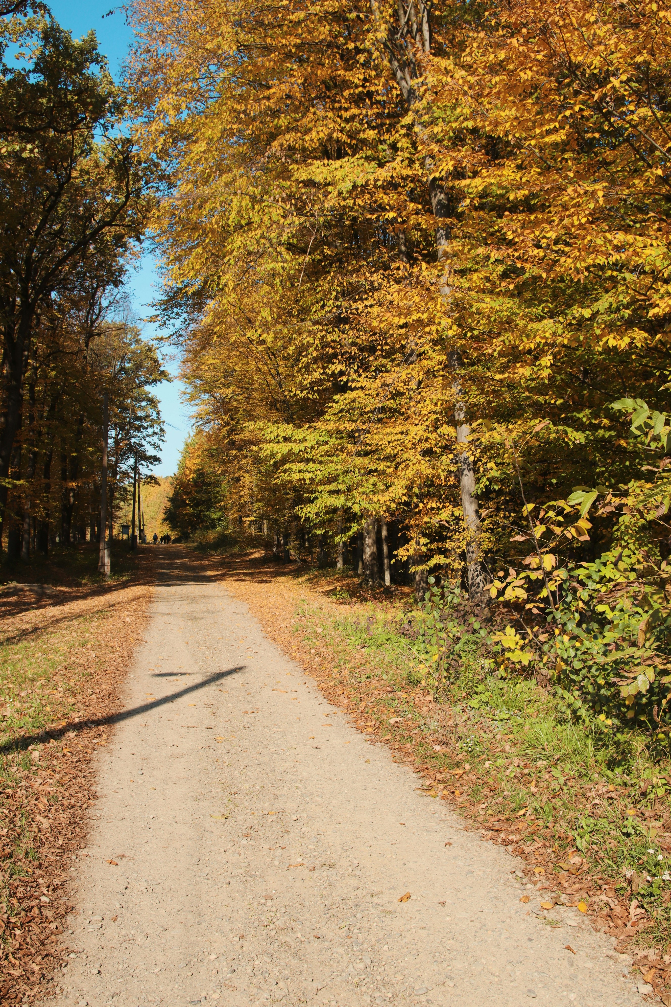 Photo by feeling_hope