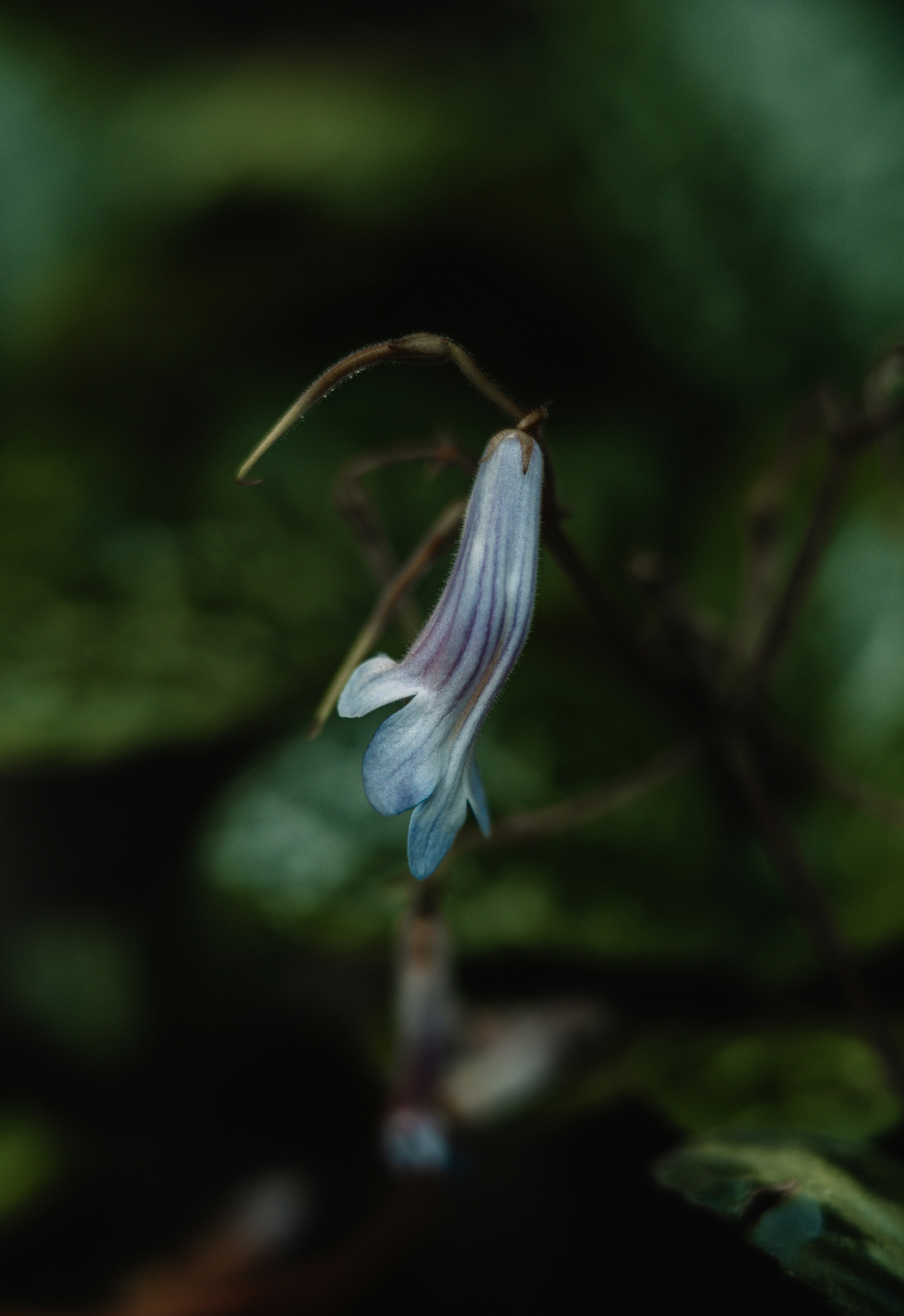 Photo by anamnesis33