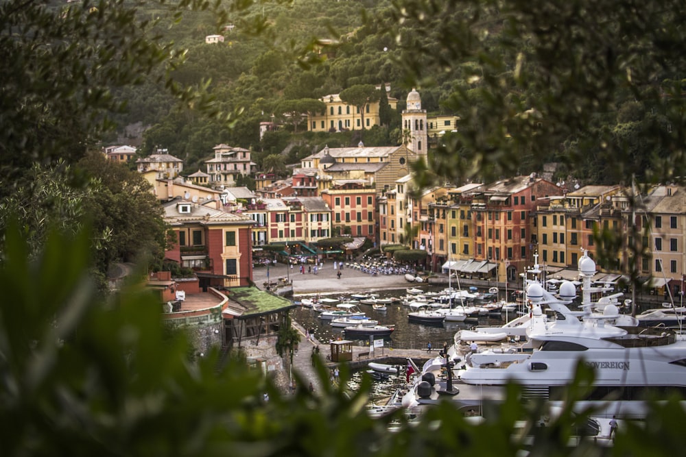 a city with many boats