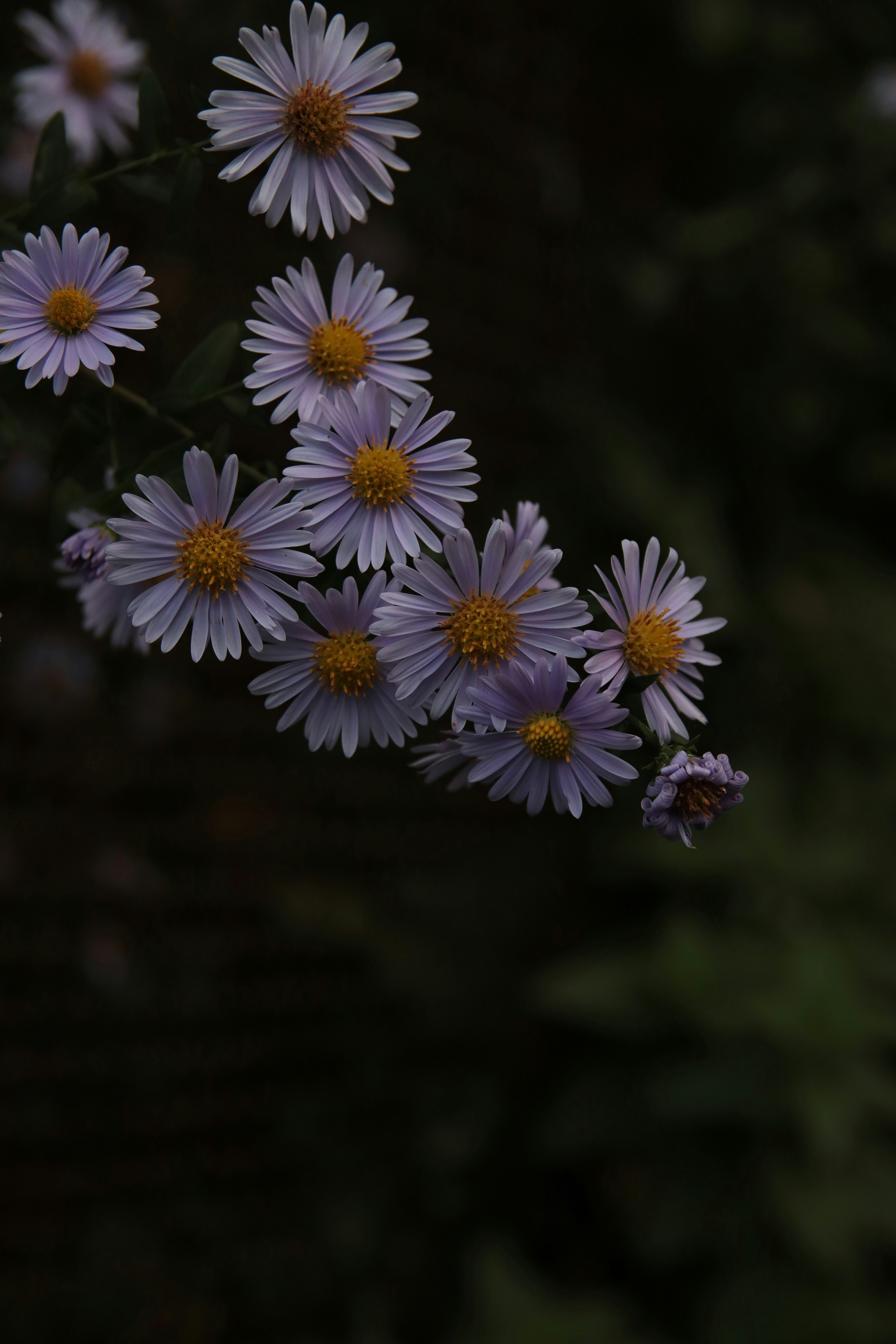 Photo by feeling_hope