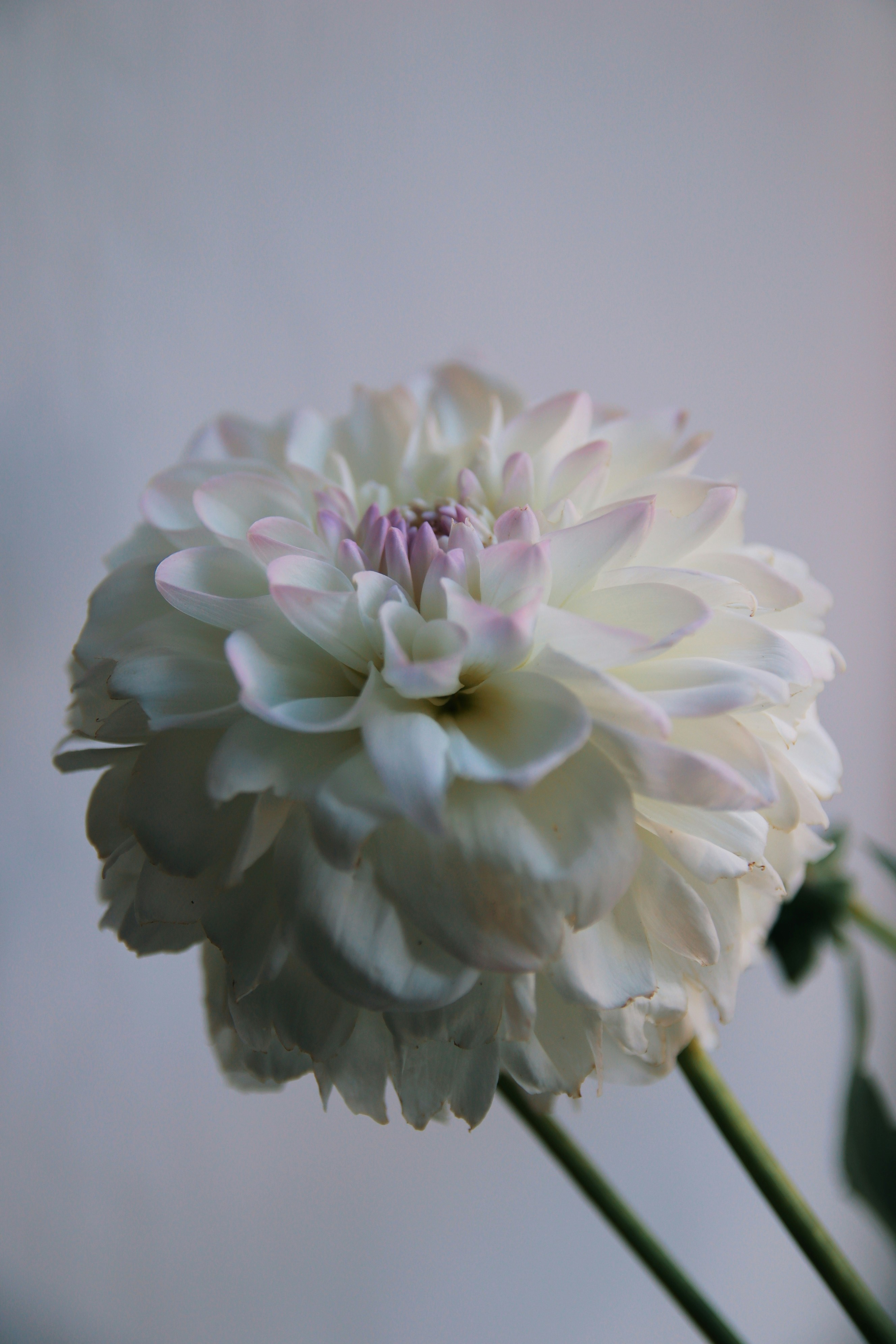 Photo by feeling_hope