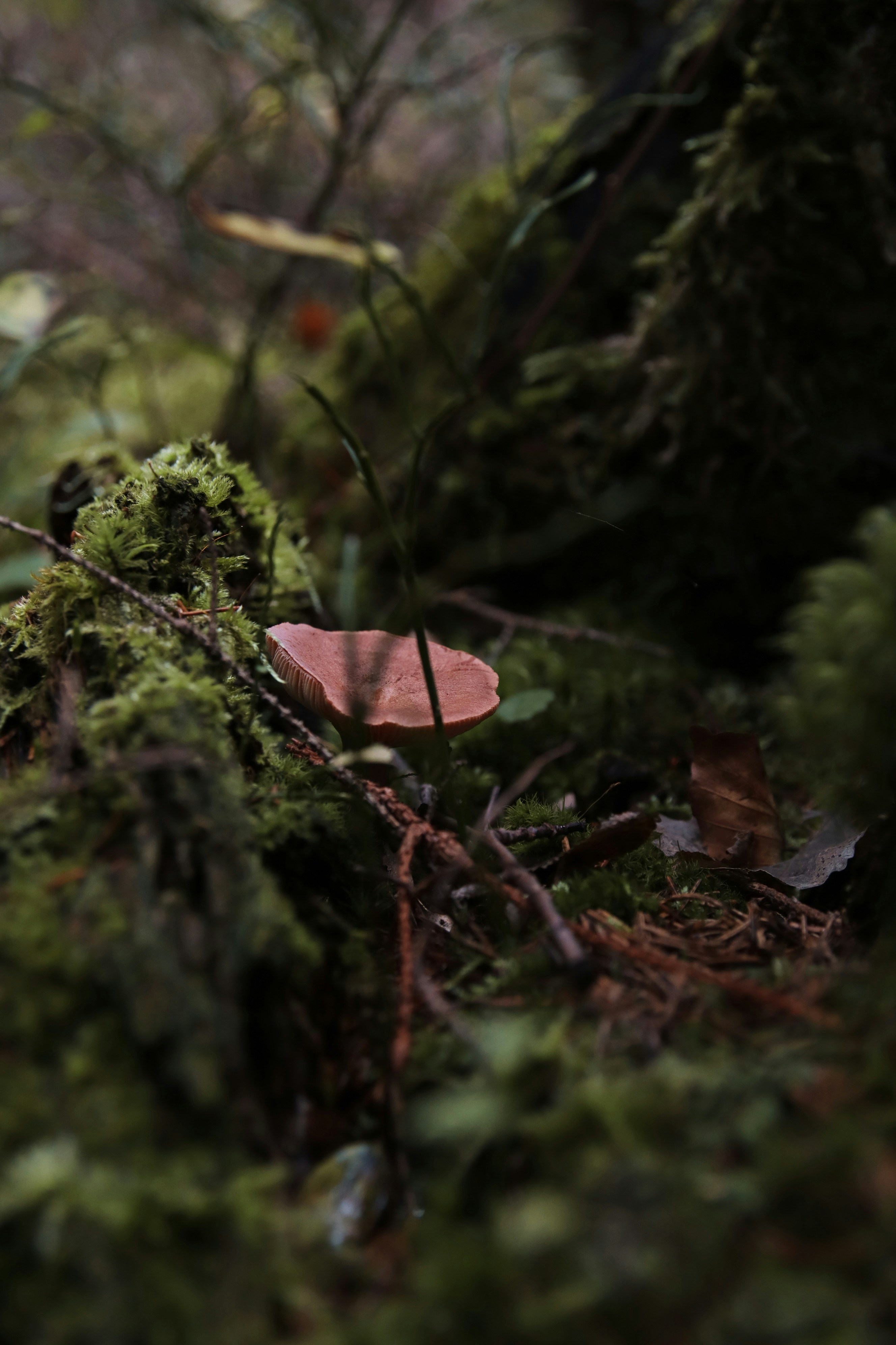 Photo by feeling_hope