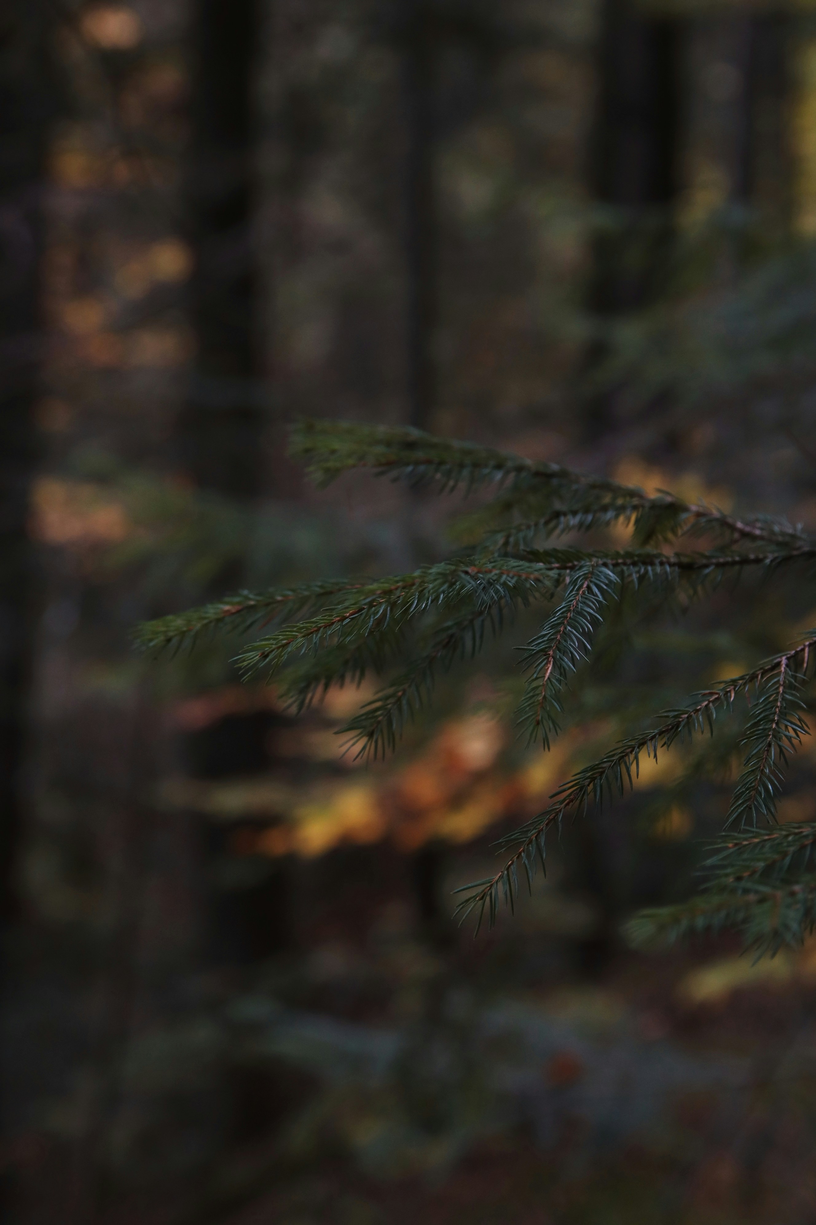 Photo by feeling_hope