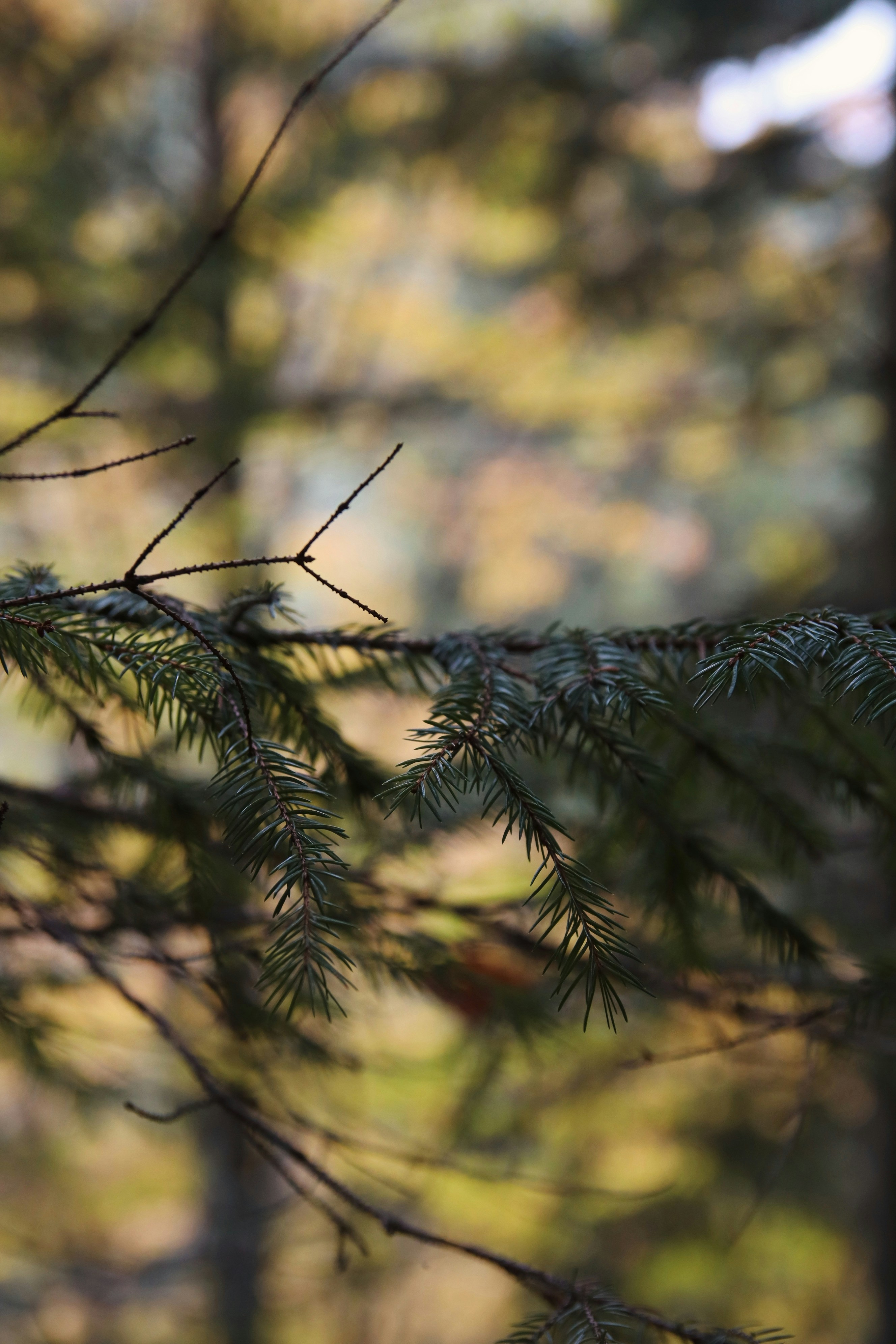 Photo by feeling_hope