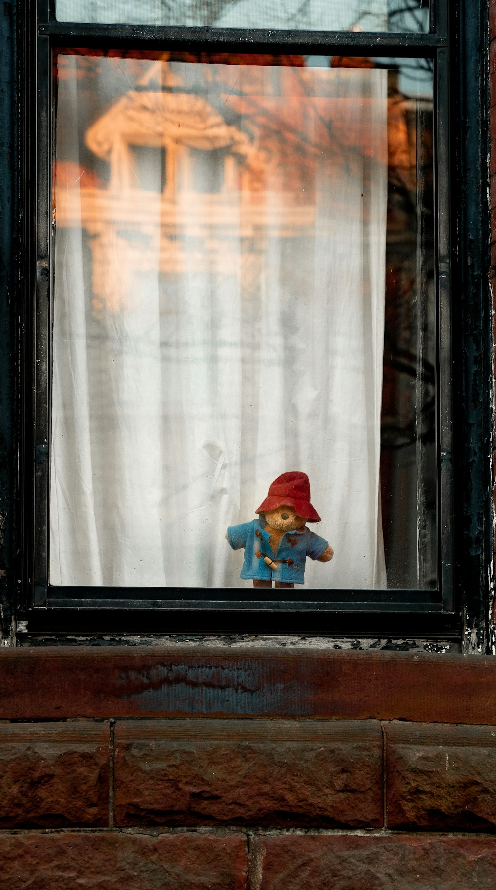 a teddy bear sits in a window