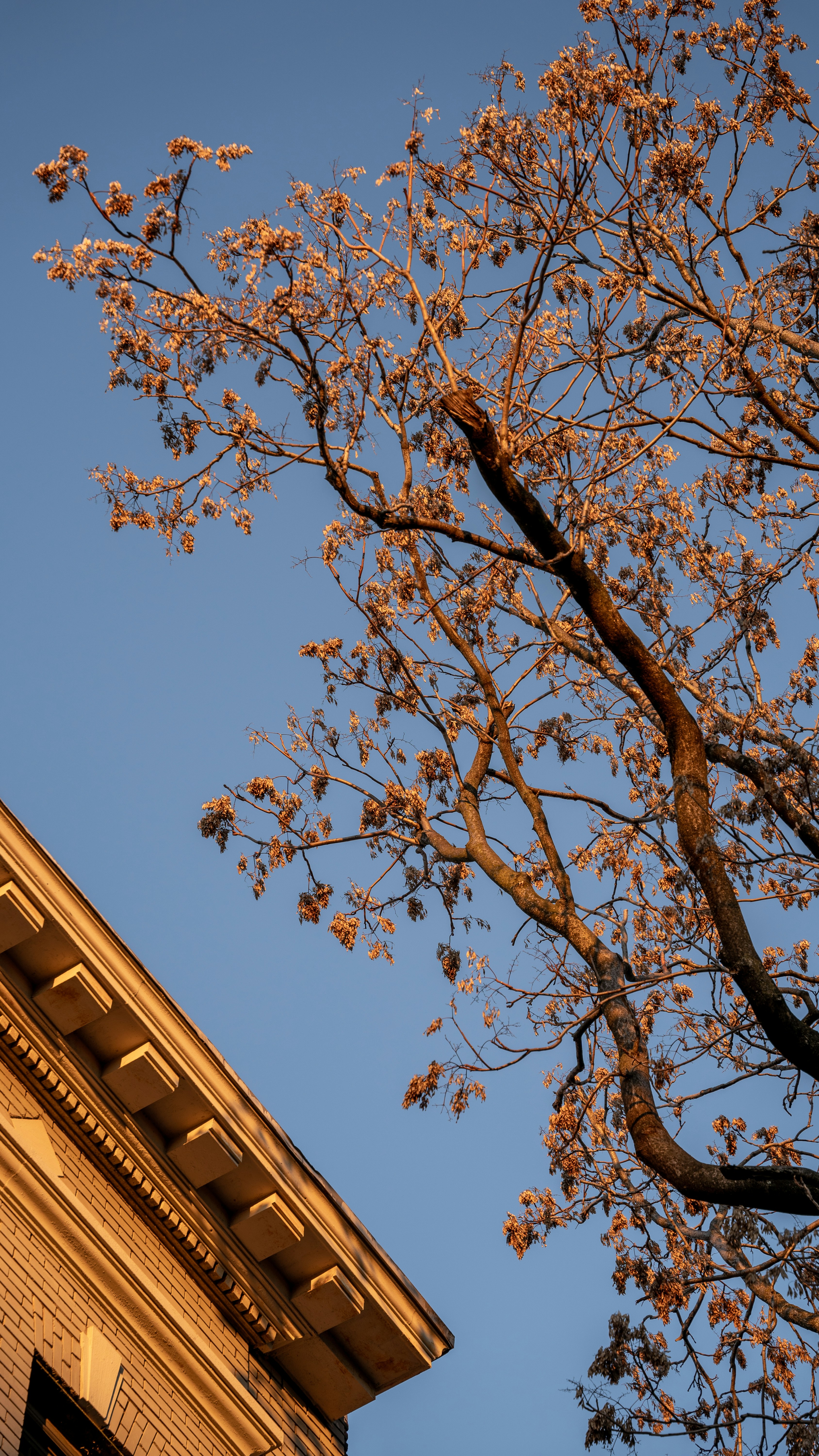 Photo by harrisonmitchell