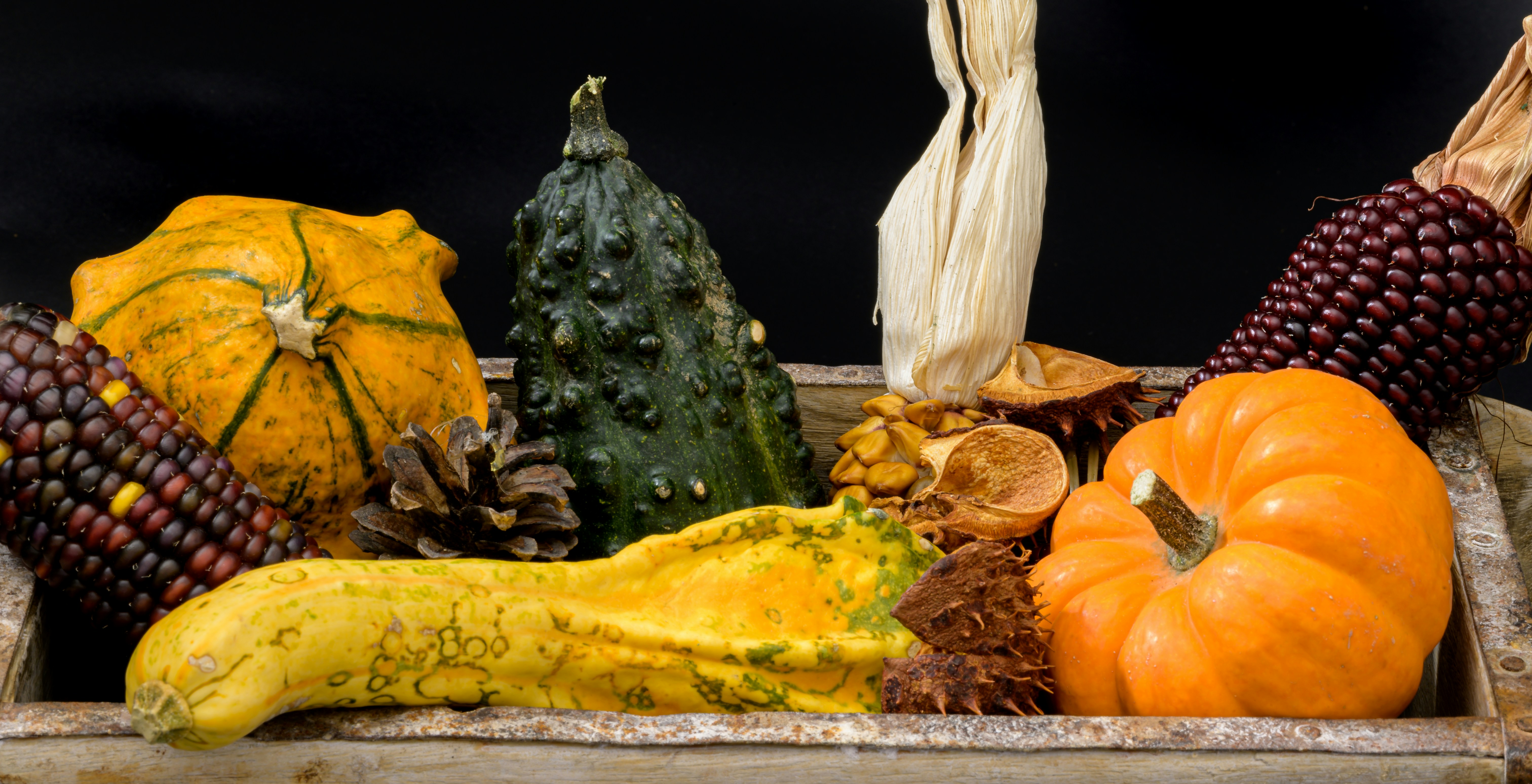 Photo by hans_leuzinger