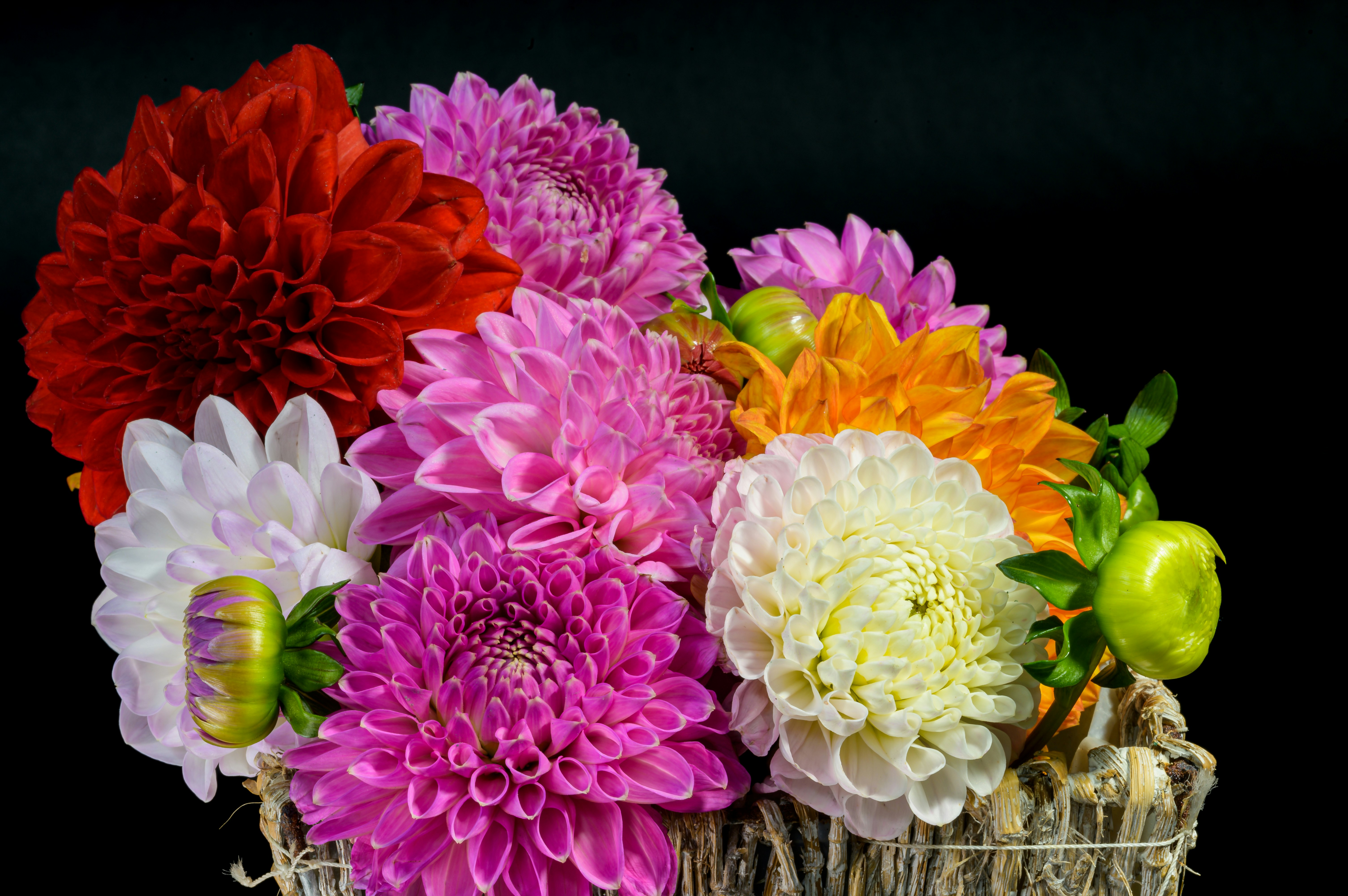 Photo by hans_leuzinger