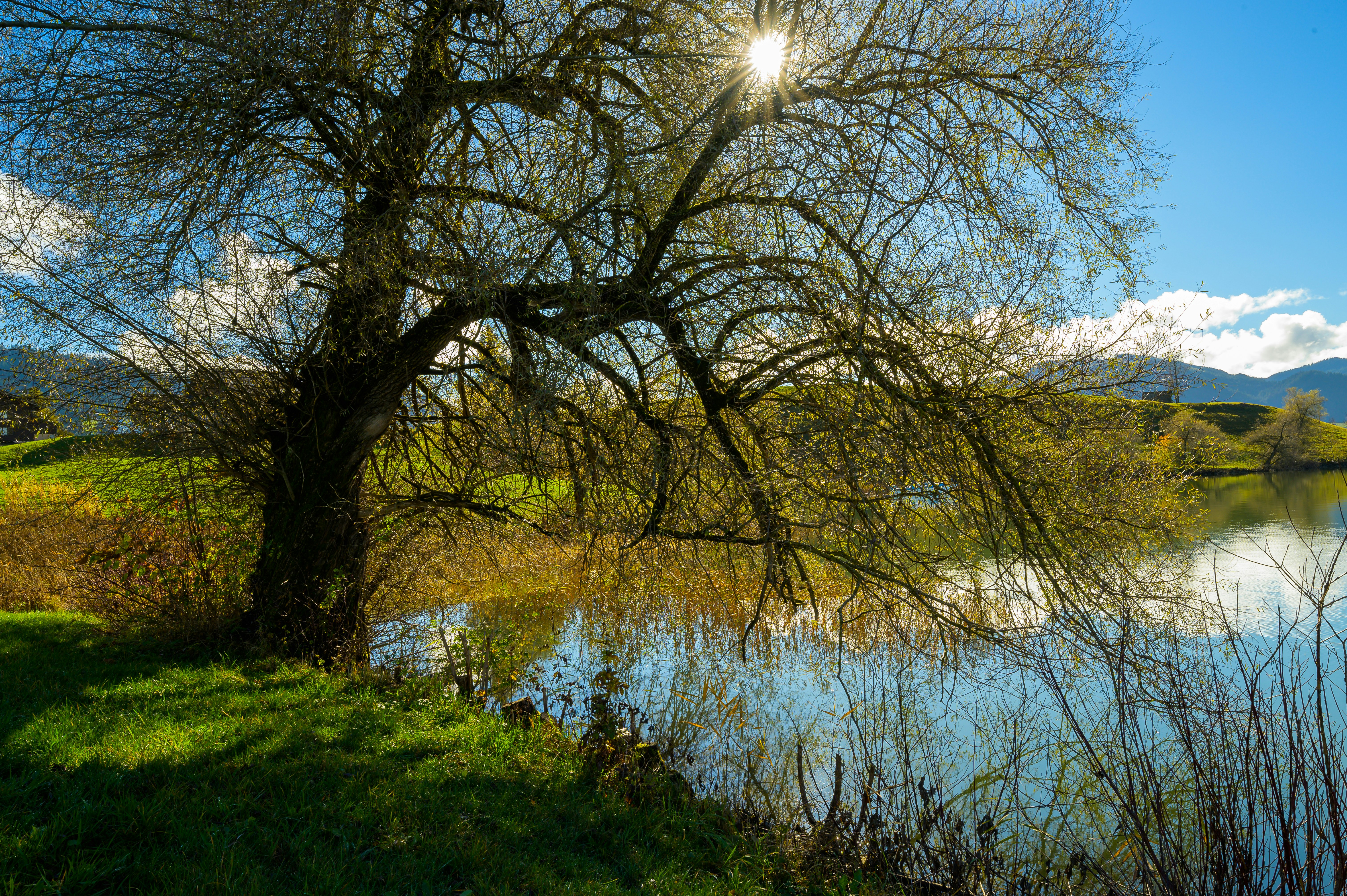 Photo by hans_leuzinger