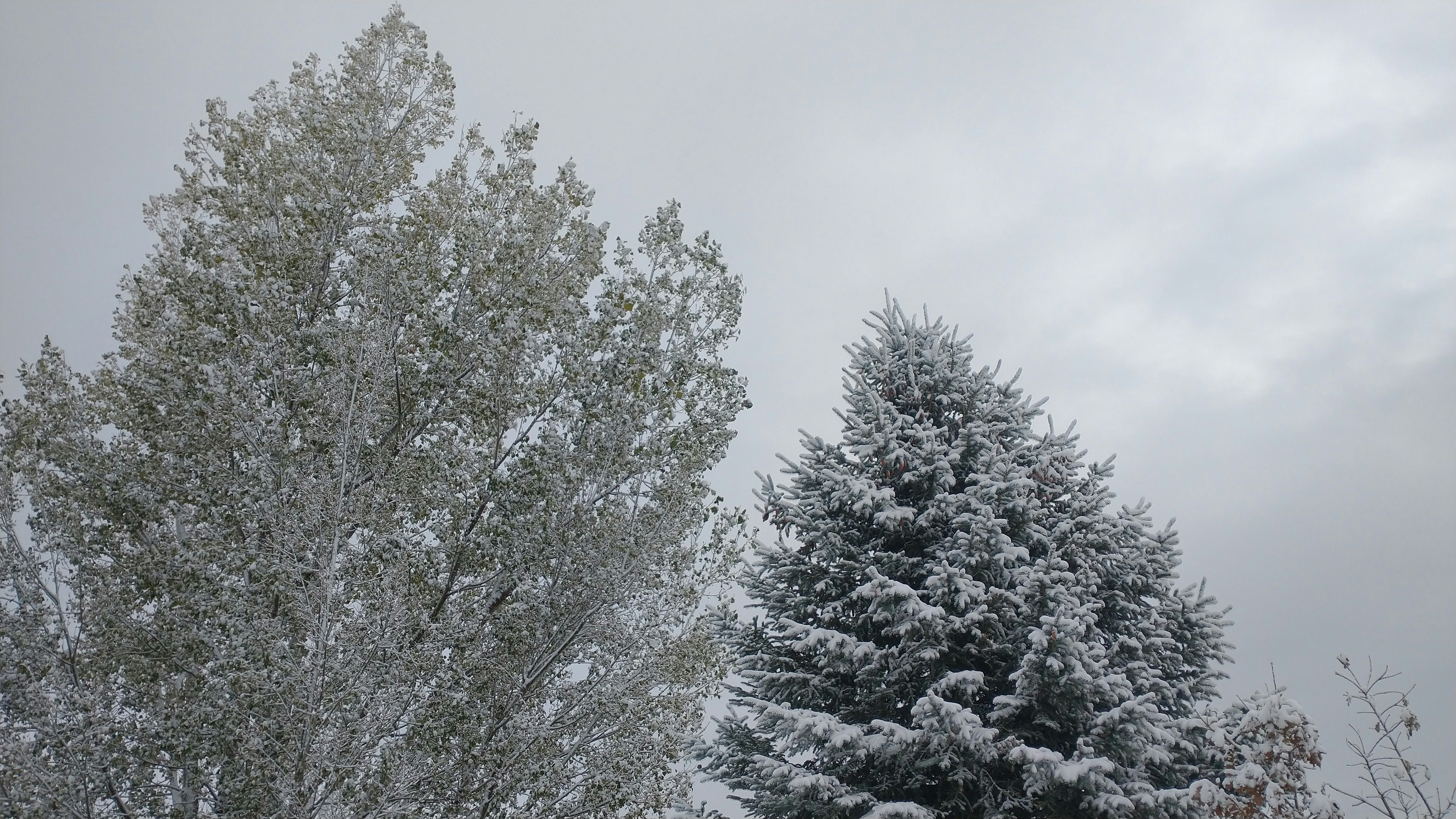 Photo by serasmith1999