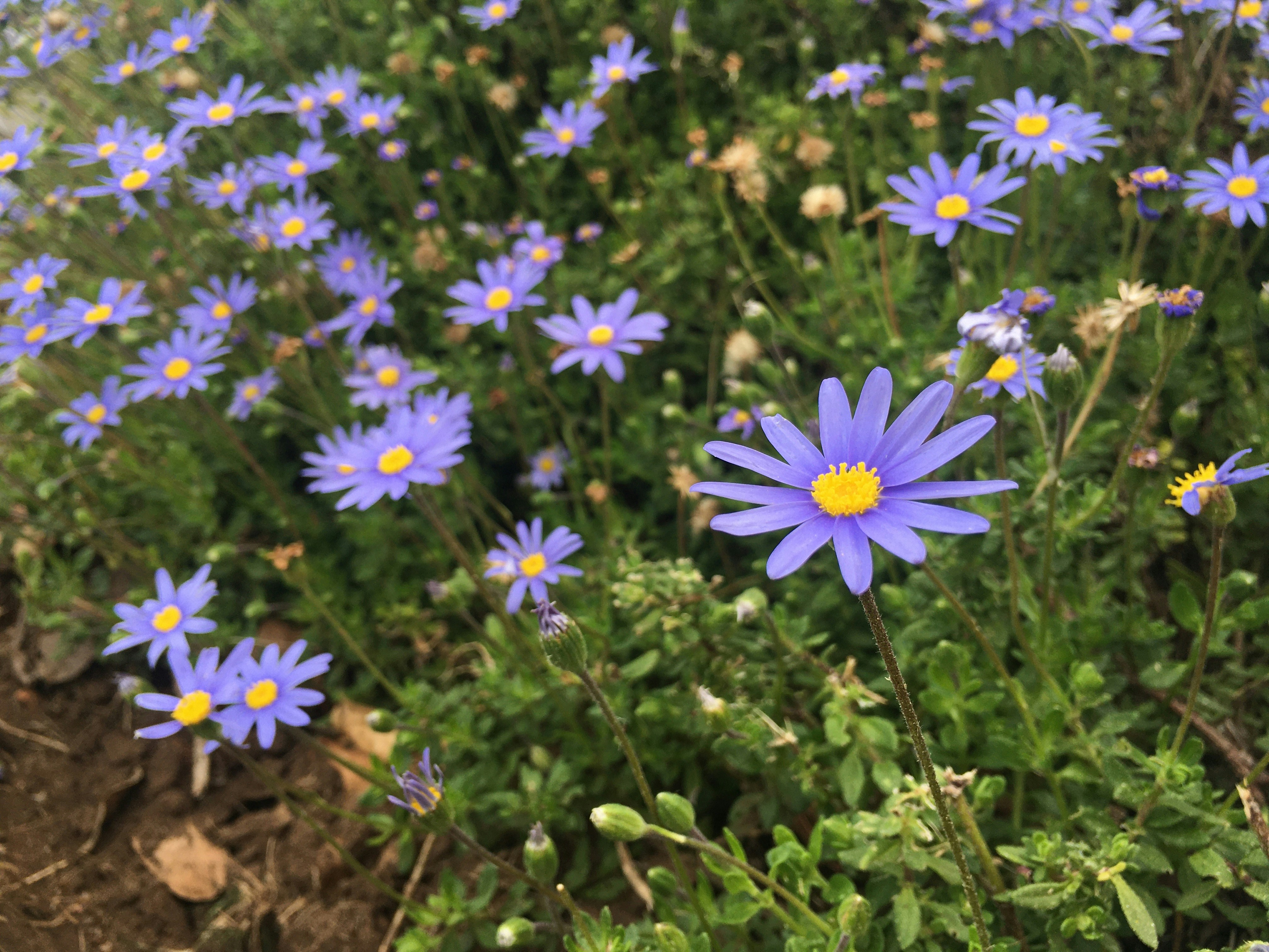 Photo by lelly_trisha