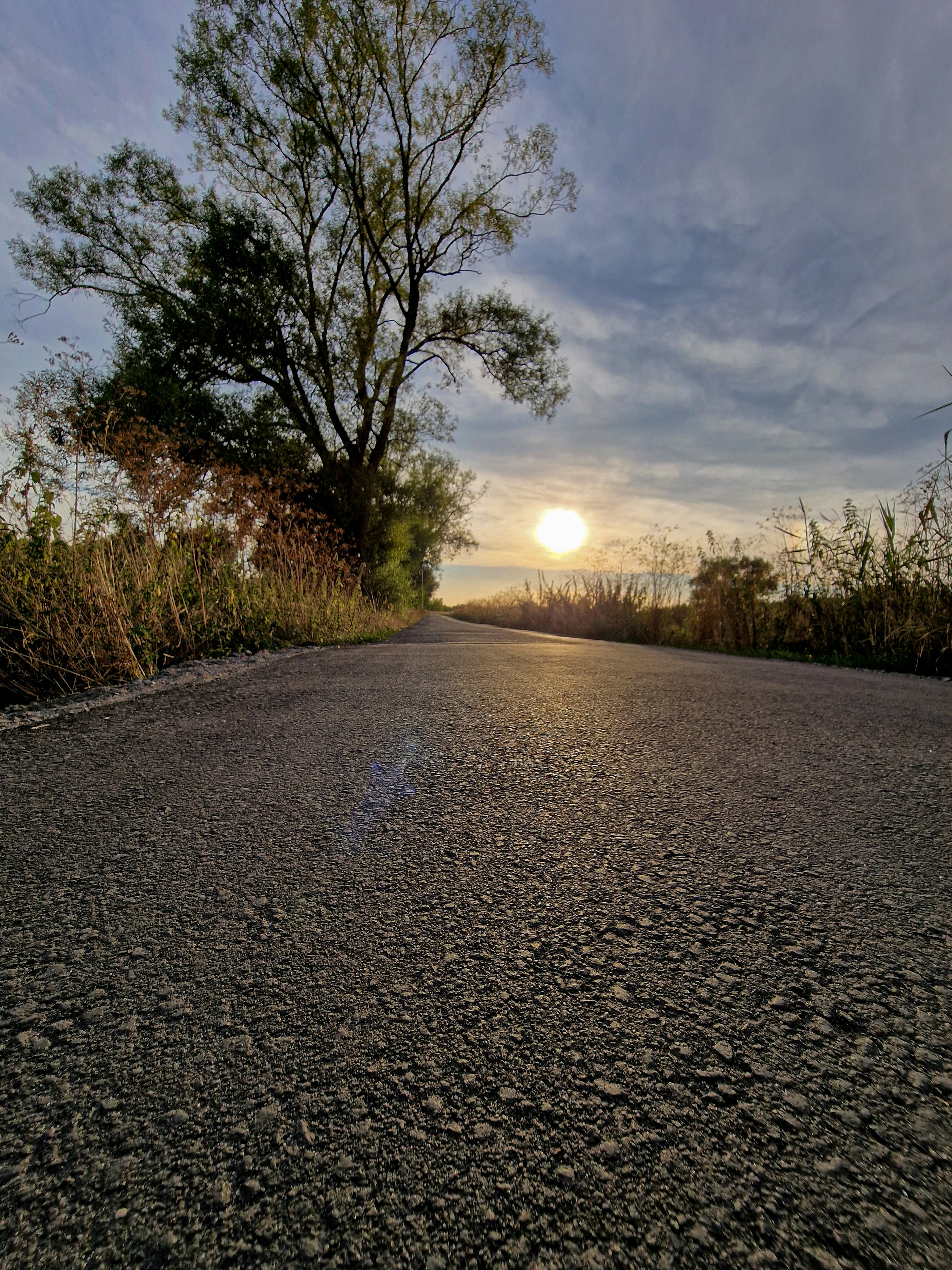 Photo by meshaal_hajali