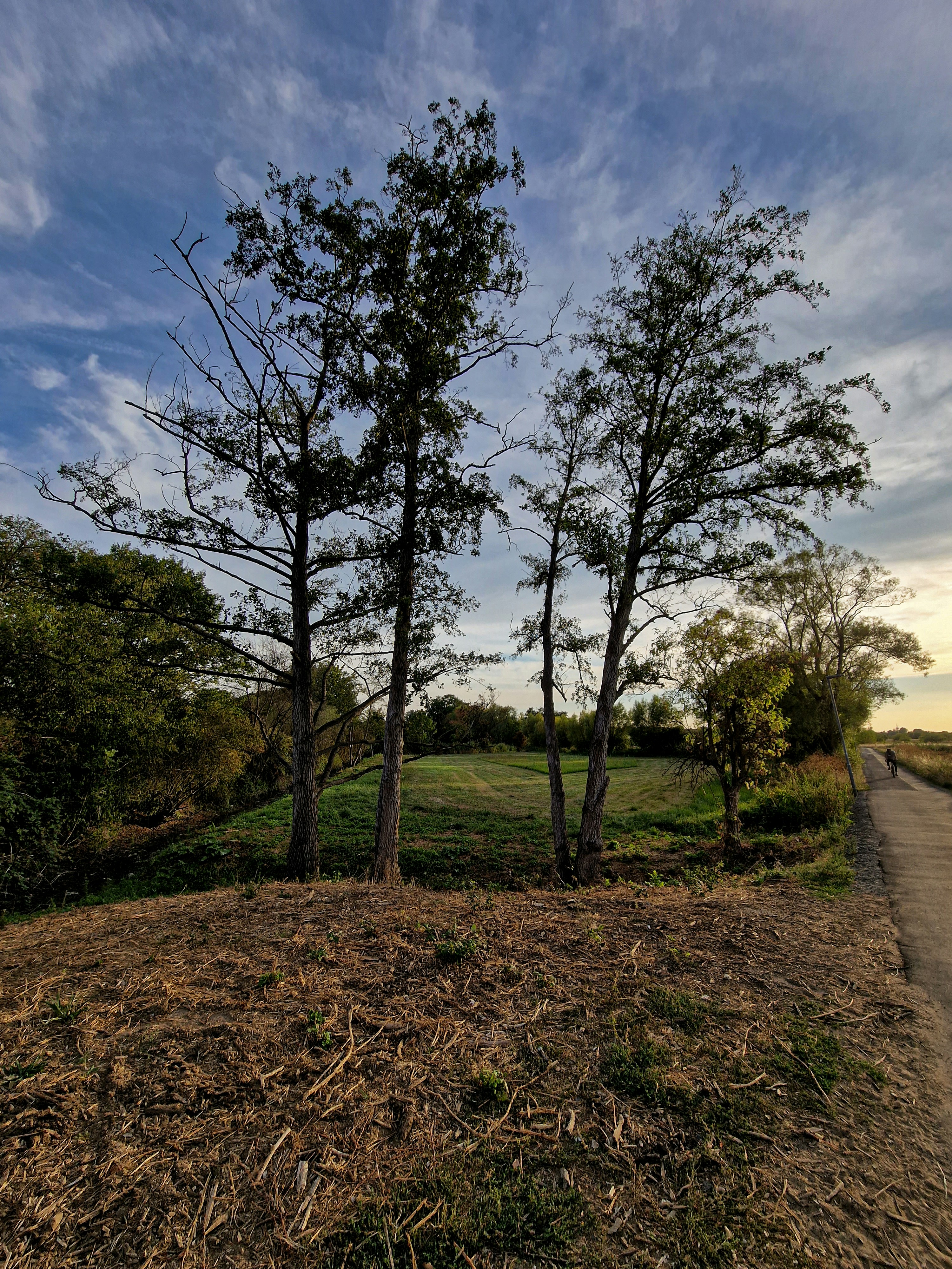 Photo by meshaal_hajali