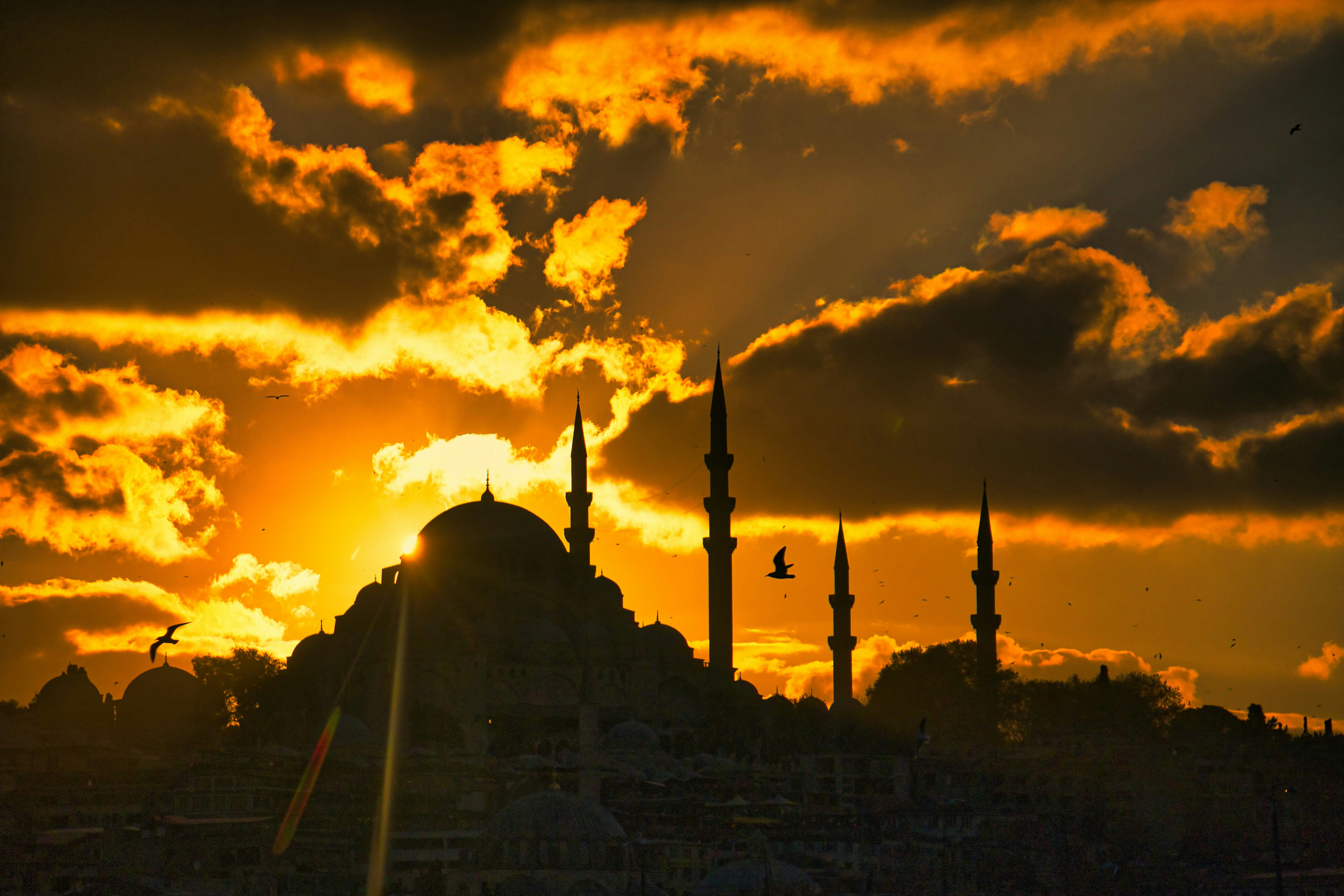 Photo by raimondklavins