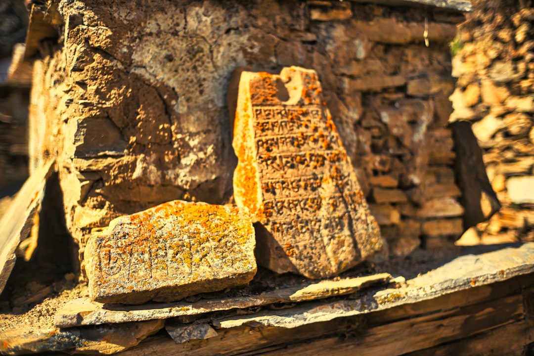 a pile of wood, Buddhist gompa in the Himalaya range, Annapurna region, Nepal