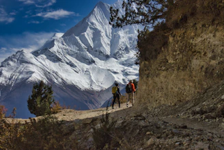 a group of people hiking up a mountain