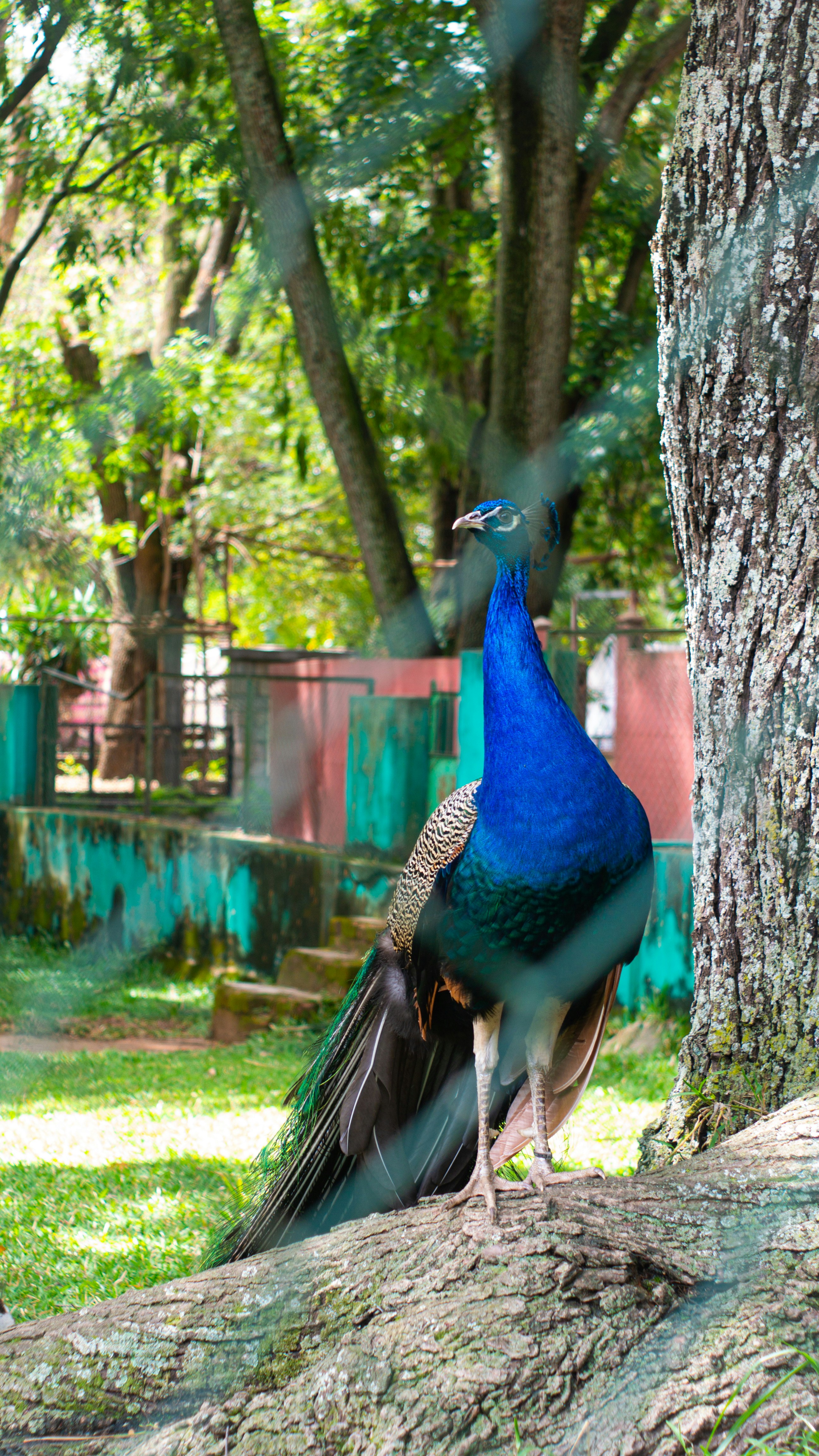 Photo by alekseyryan