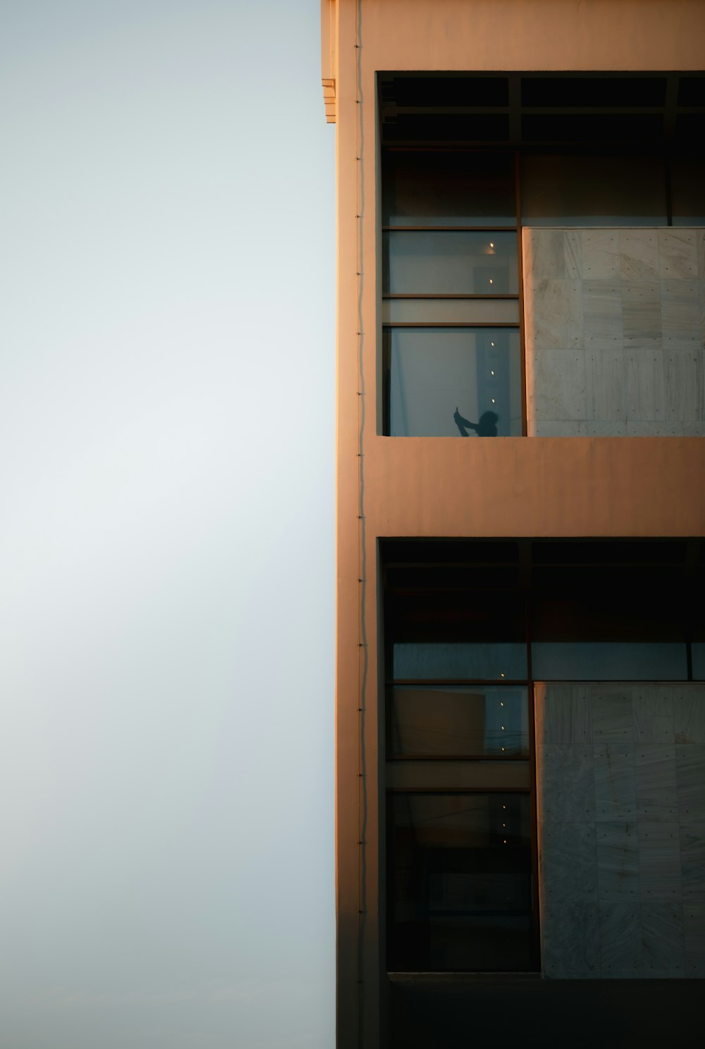 a bird sitting on a window