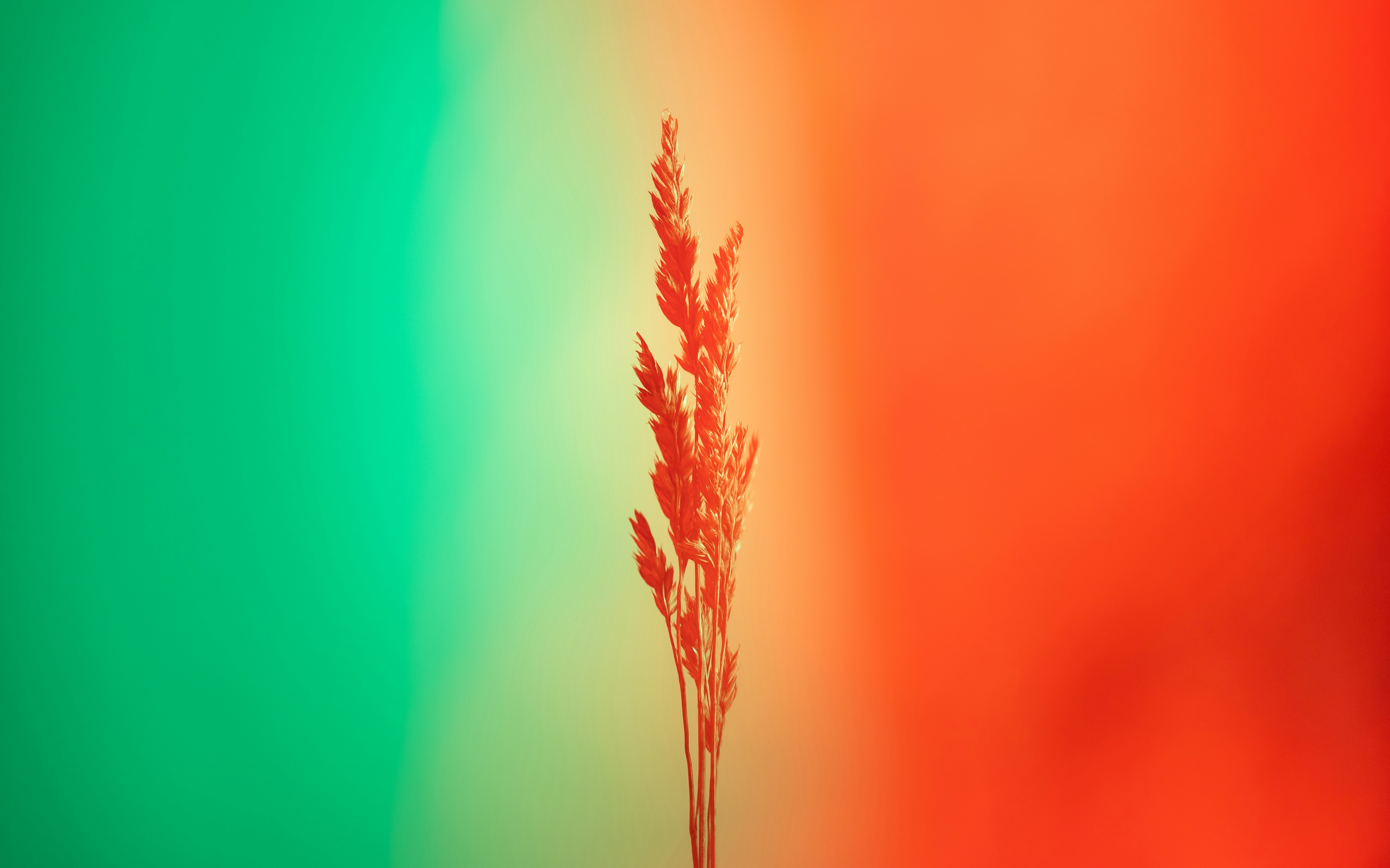 Photo by marekpiwnicki