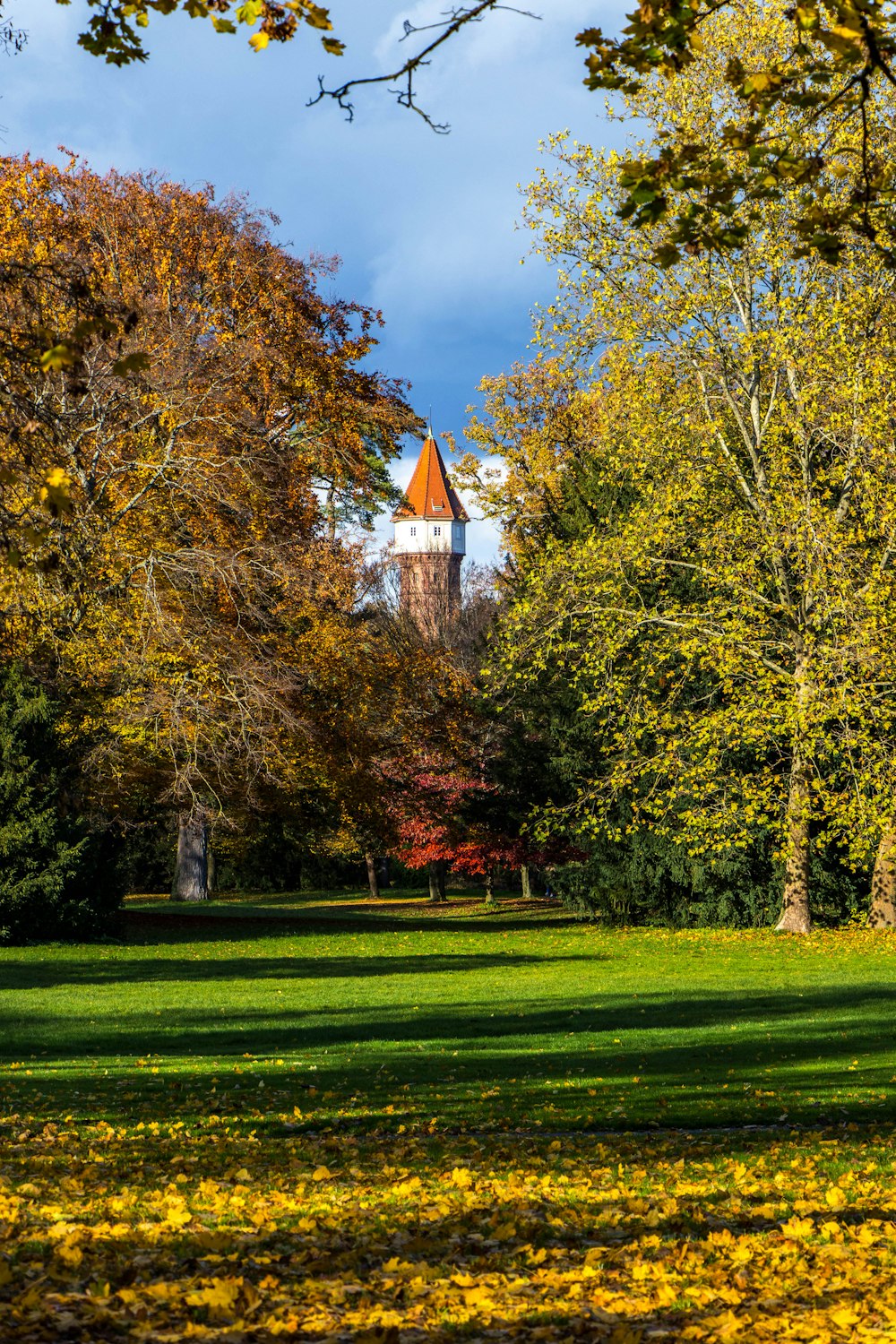 a building with a tower behind trees