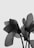 Minimalist online store interface showing a clean flower catalog with product images.