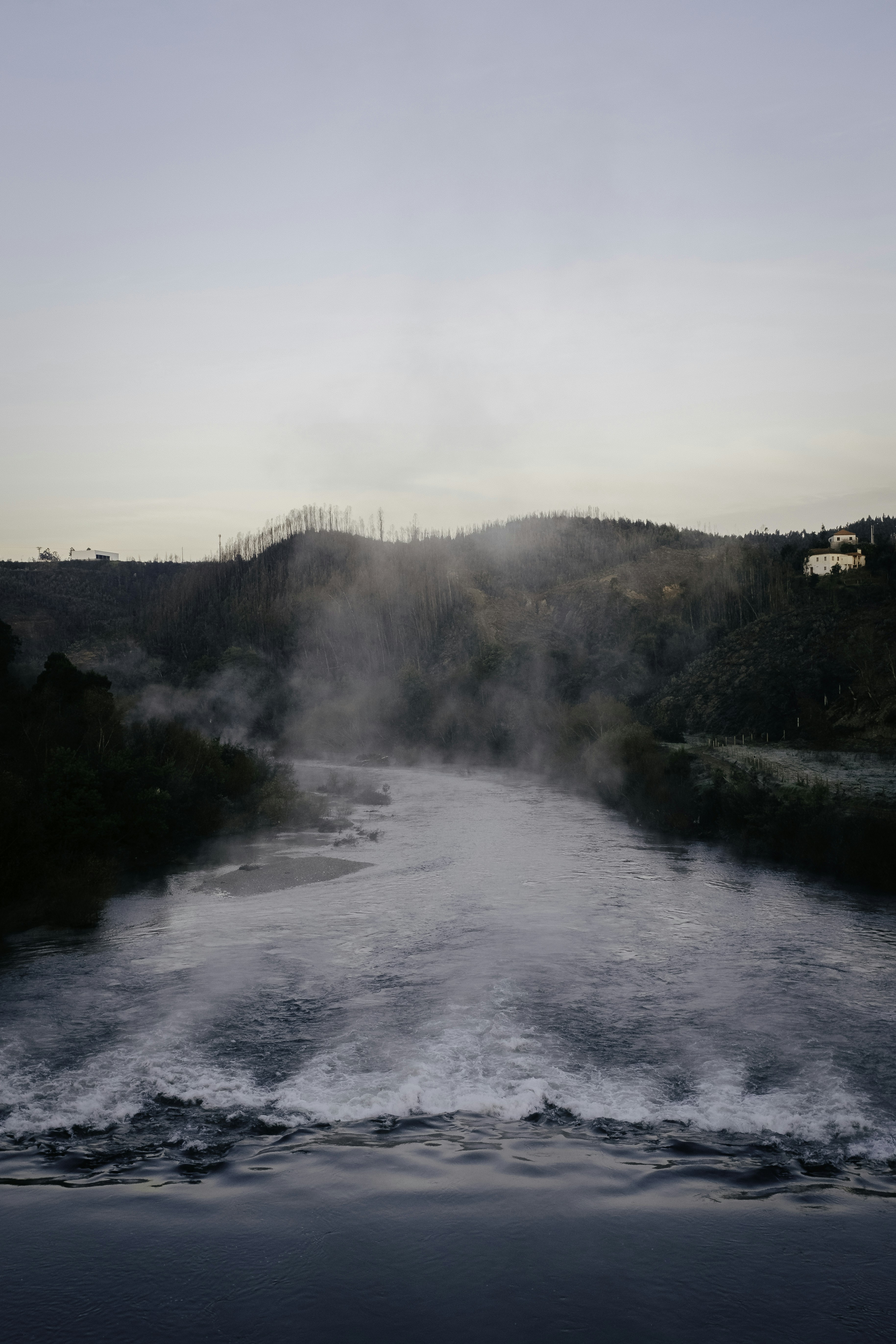 여울목을 건너다 post image