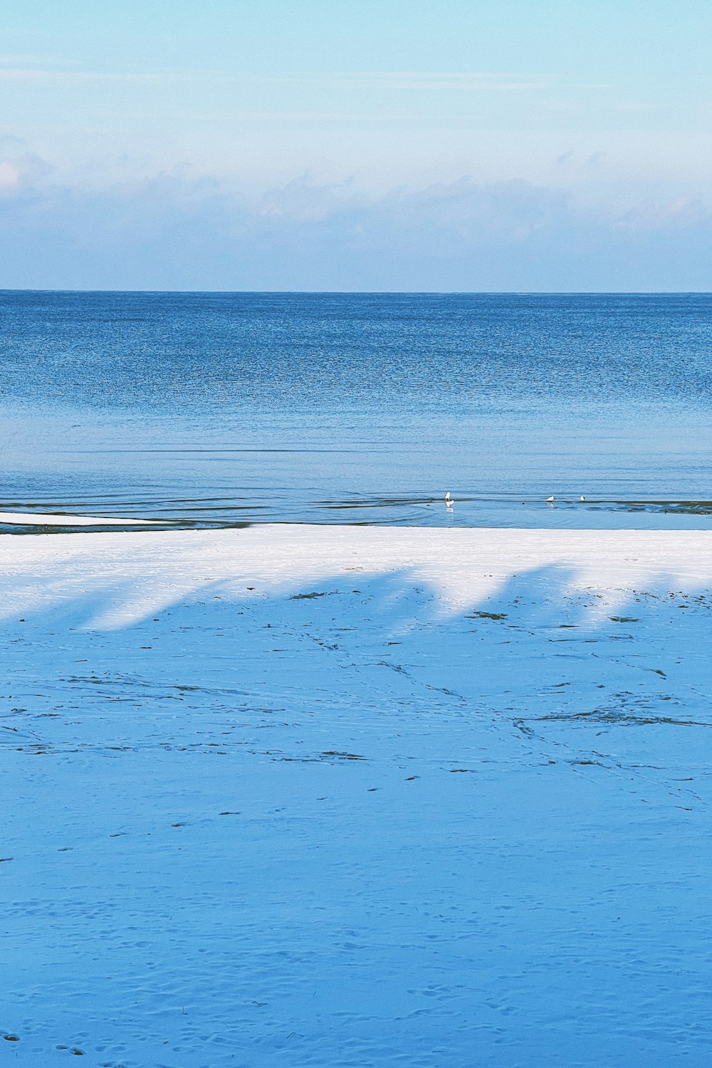 a beach with snow