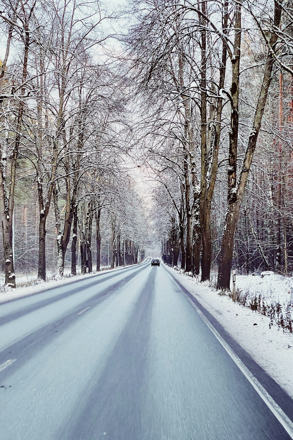 a road with snow on the side