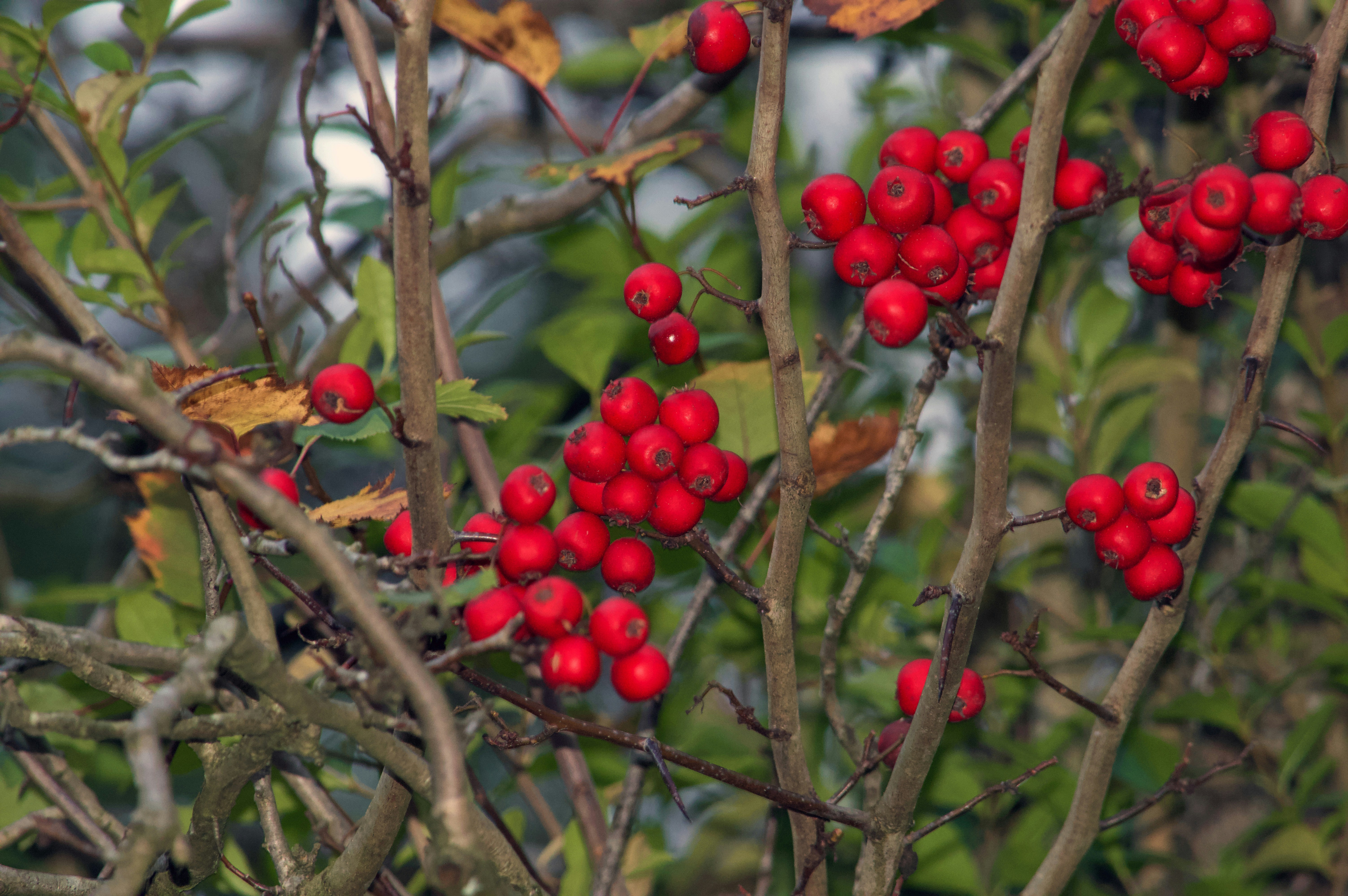 Photo by shazphotoshots