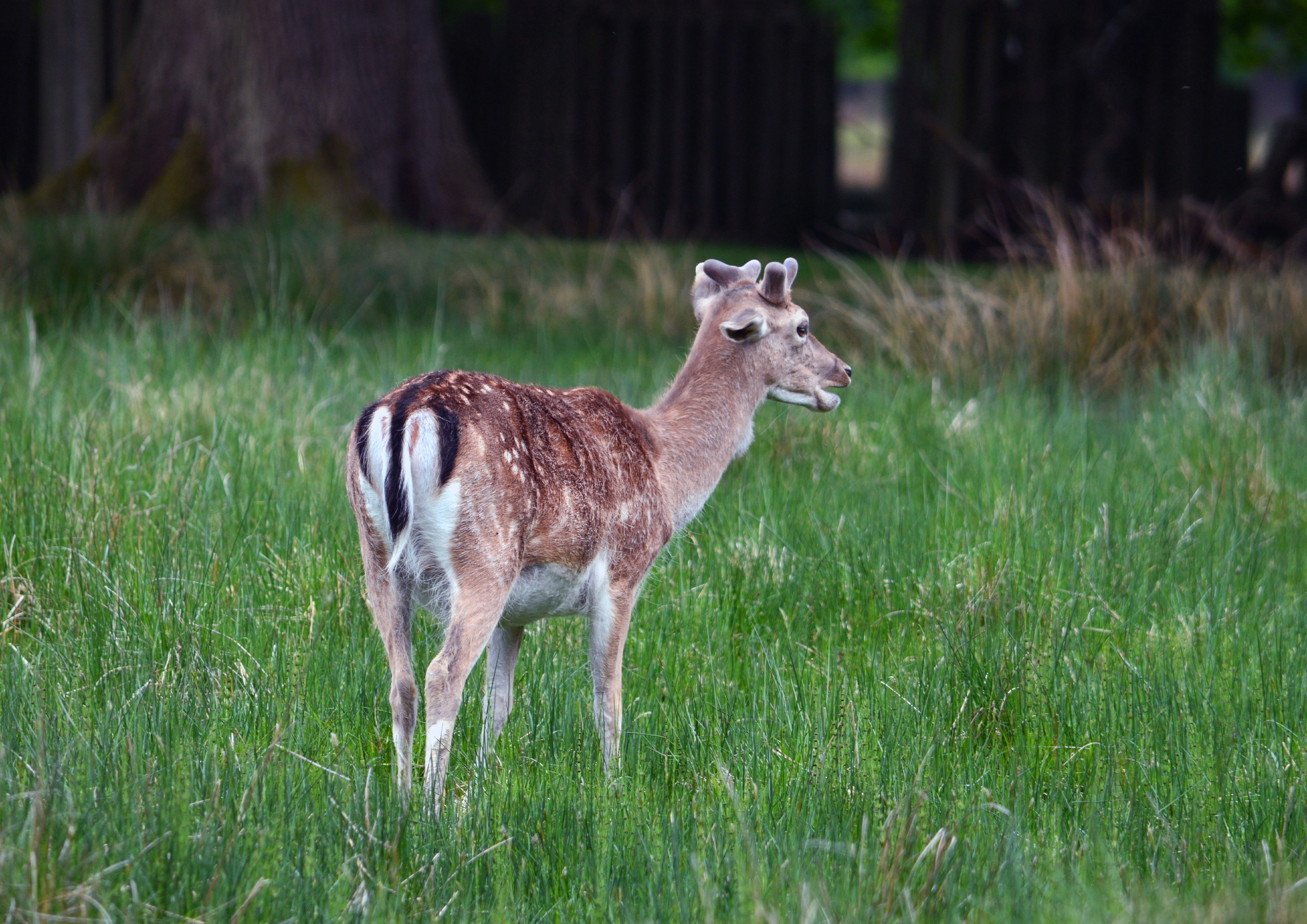 Photo by shazphotoshots