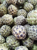 Delicious custard apples ready for export.