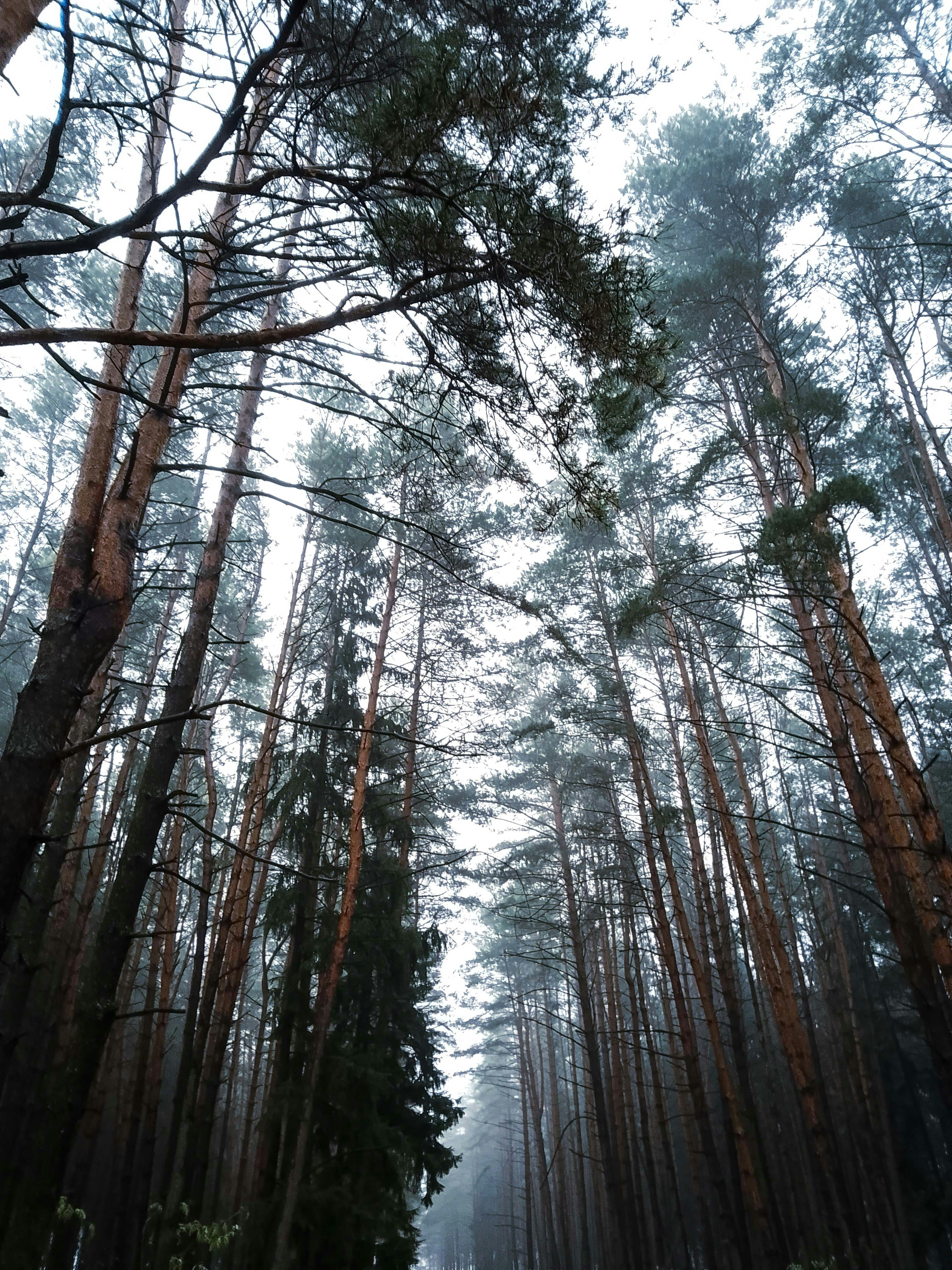 Photo by beauty_is_everywhere