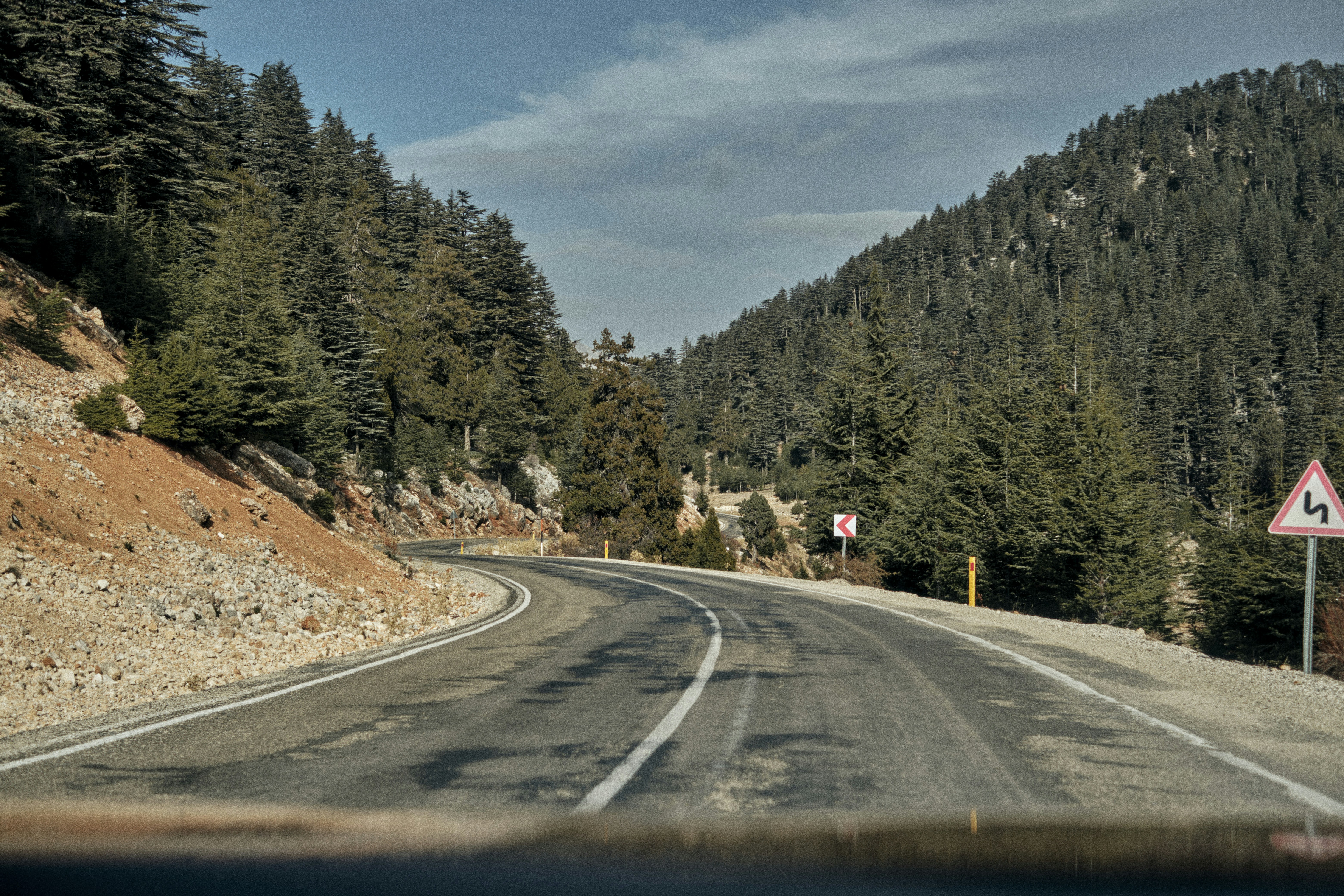 a road with trees on the side