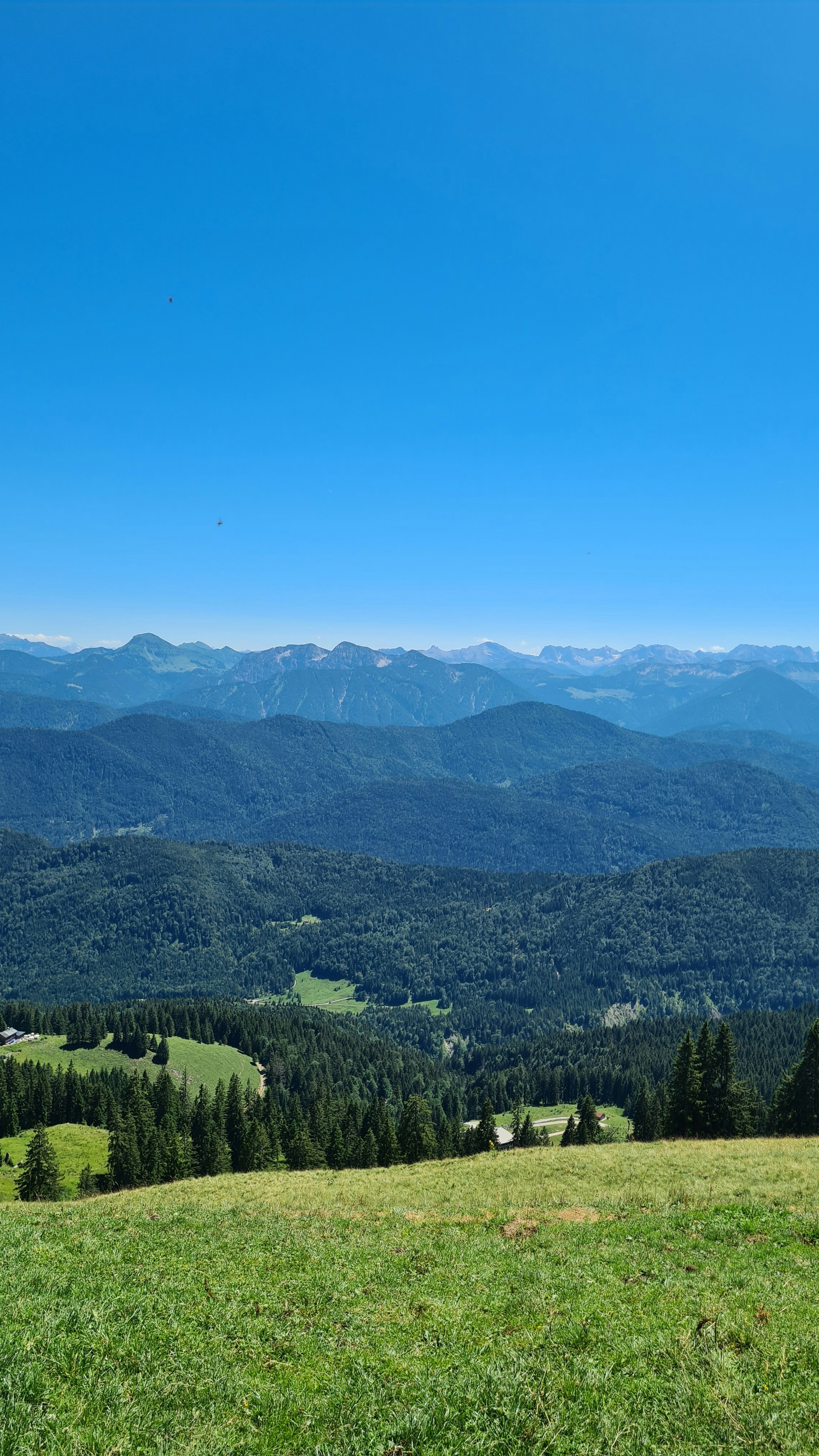 a grassy field with trees and mountains in the background