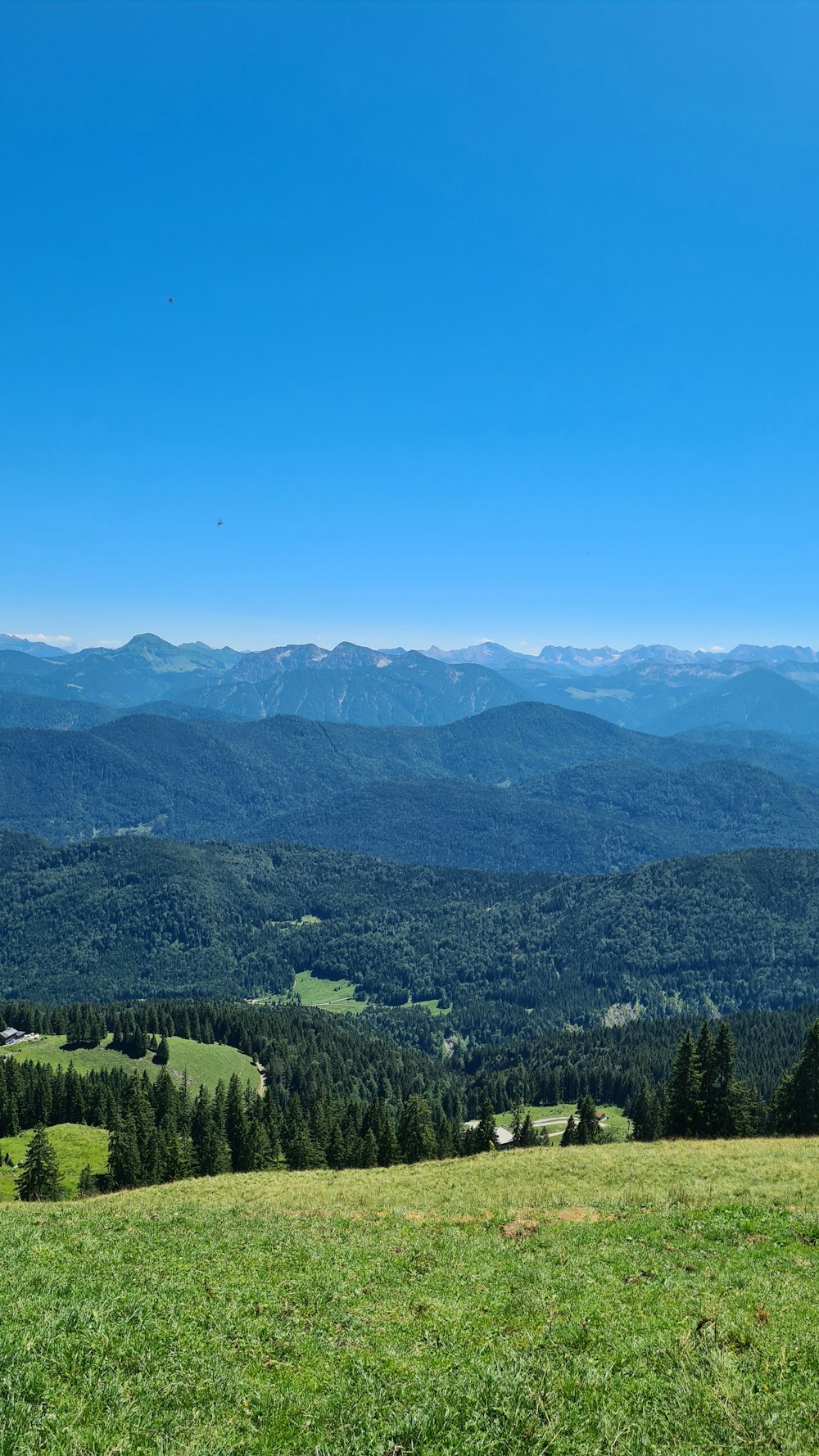 a grassy field with trees and mountains in the background