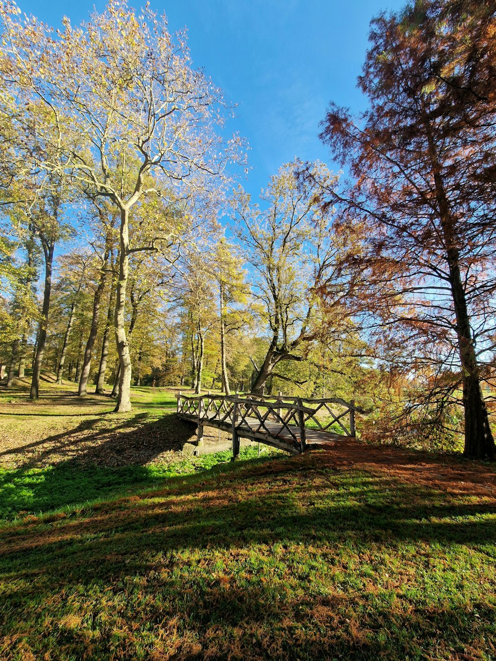 a wooden bridge over a river