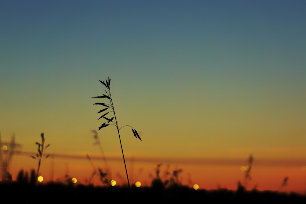 a group of people standing in front of a sunset