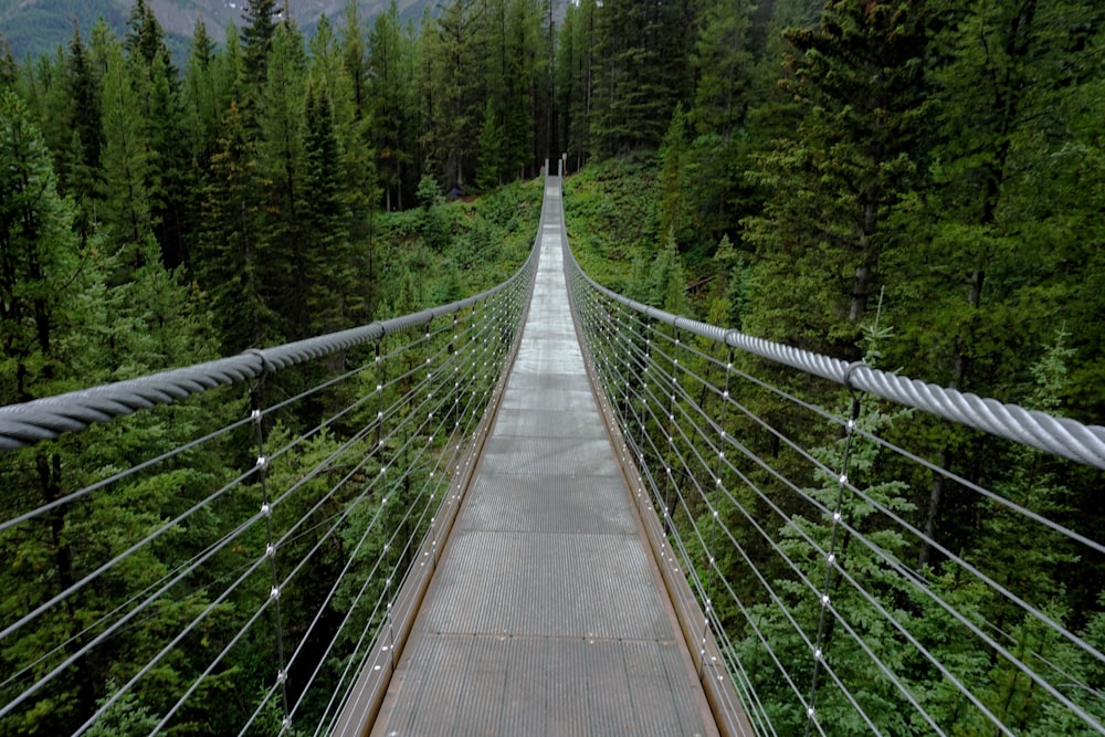 a long suspension bridge over a forest with Capilano Suspension Bridge in the background