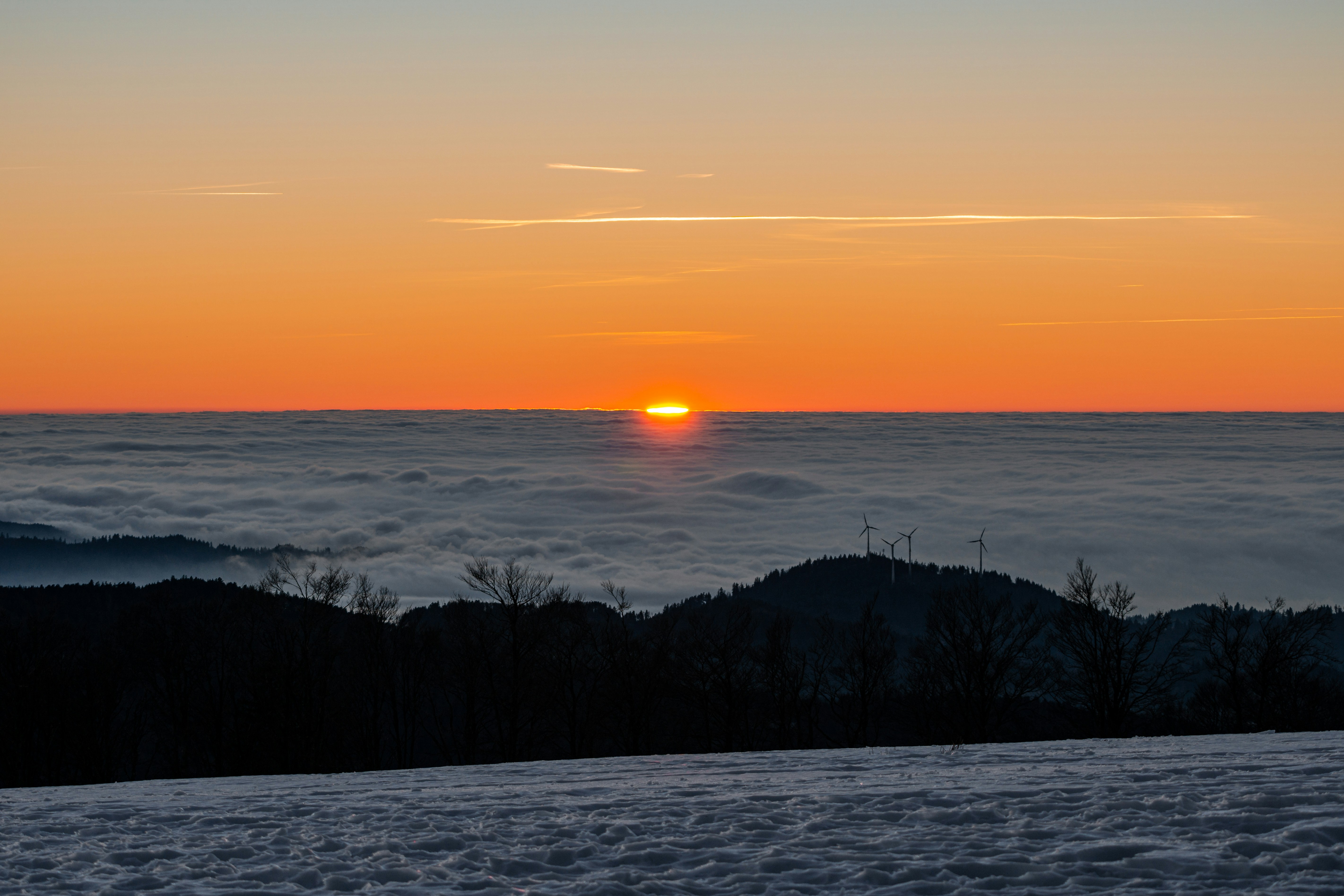 Photo by ableryder