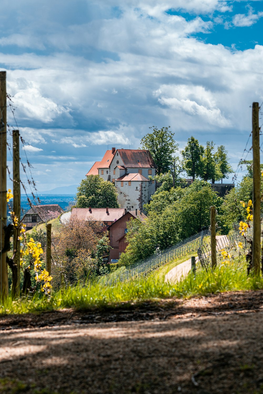 a fenced in yard with a house in the background